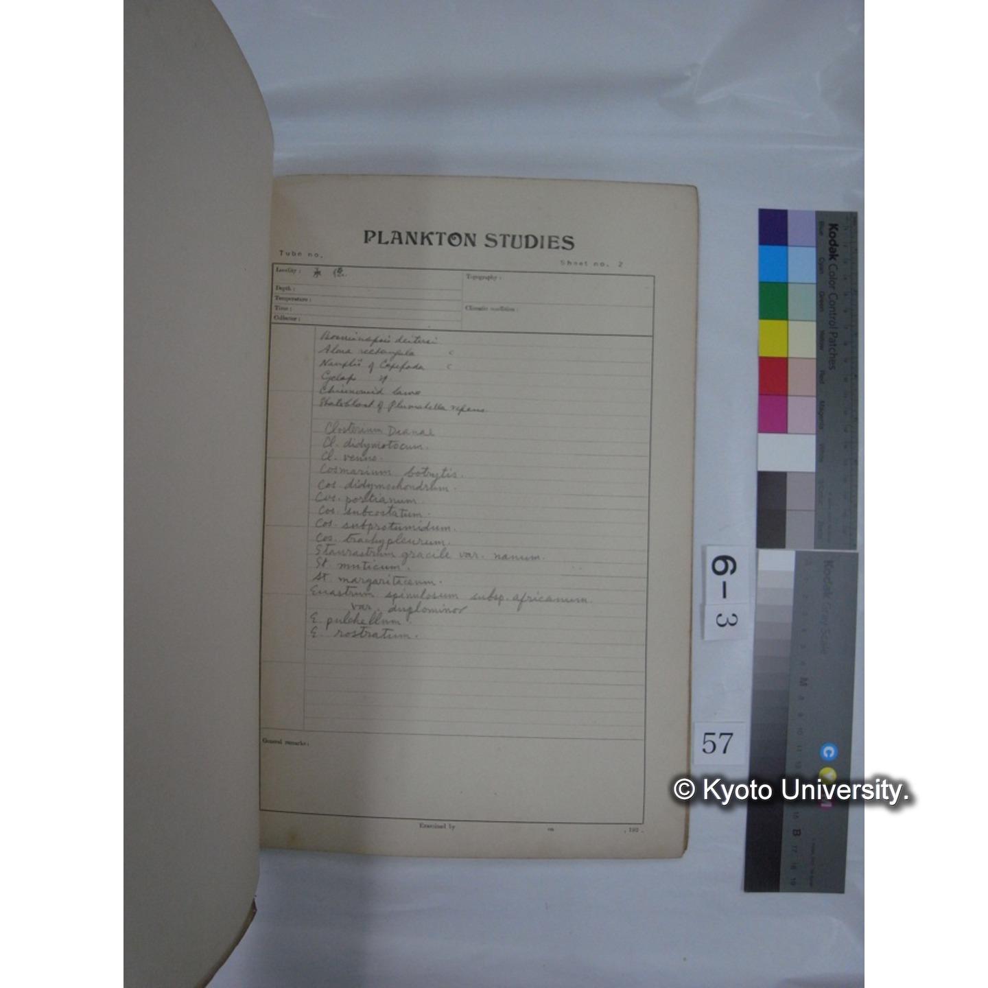 プランクトン標本調査カード (昭和10年,満州調査時採集標本他) (58)