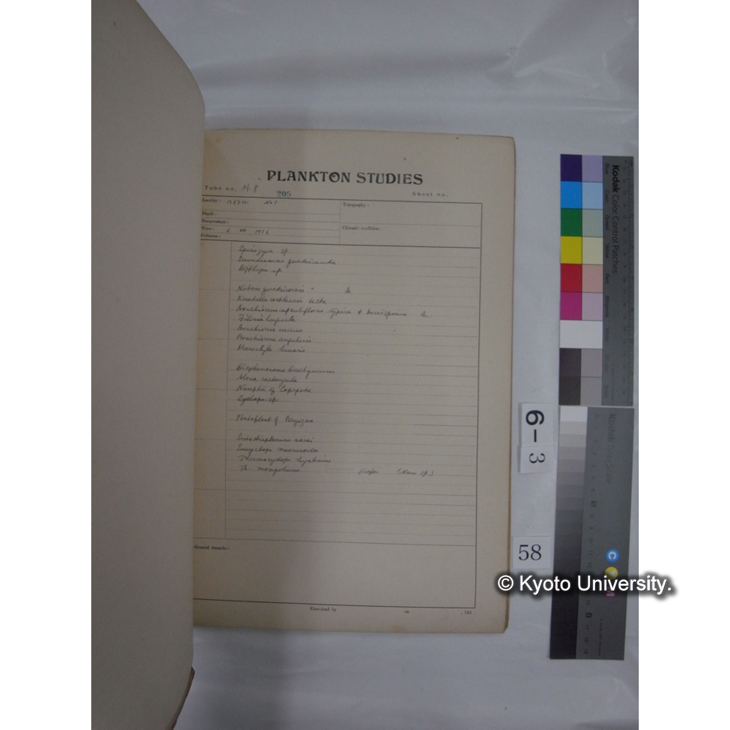 プランクトン標本調査カード (昭和10年,満州調査時採集標本他) (59)