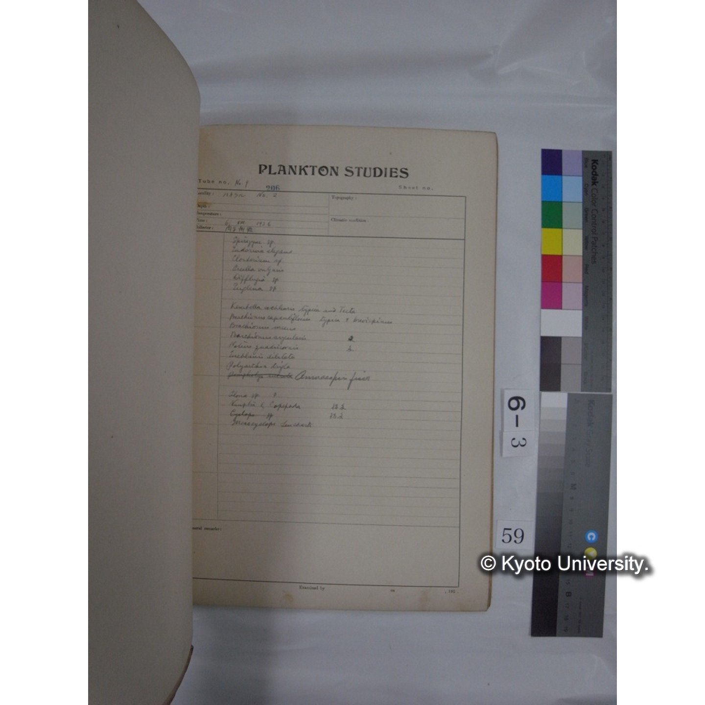 プランクトン標本調査カード (昭和10年,満州調査時採集標本他) (60)