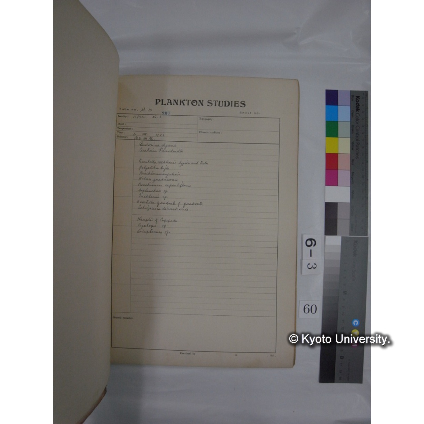 プランクトン標本調査カード (昭和10年,満州調査時採集標本他) (61)