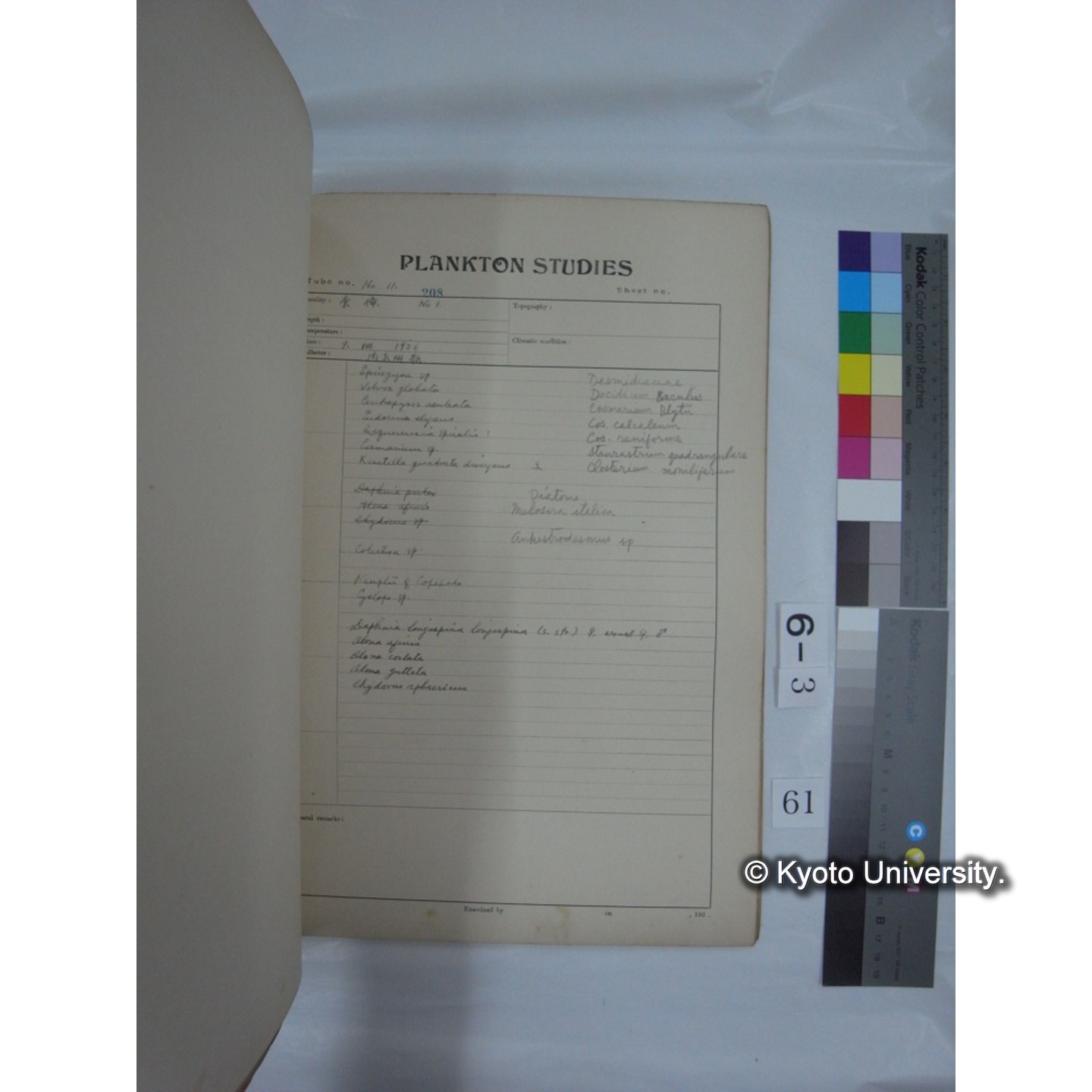 プランクトン標本調査カード (昭和10年,満州調査時採集標本他) (62)