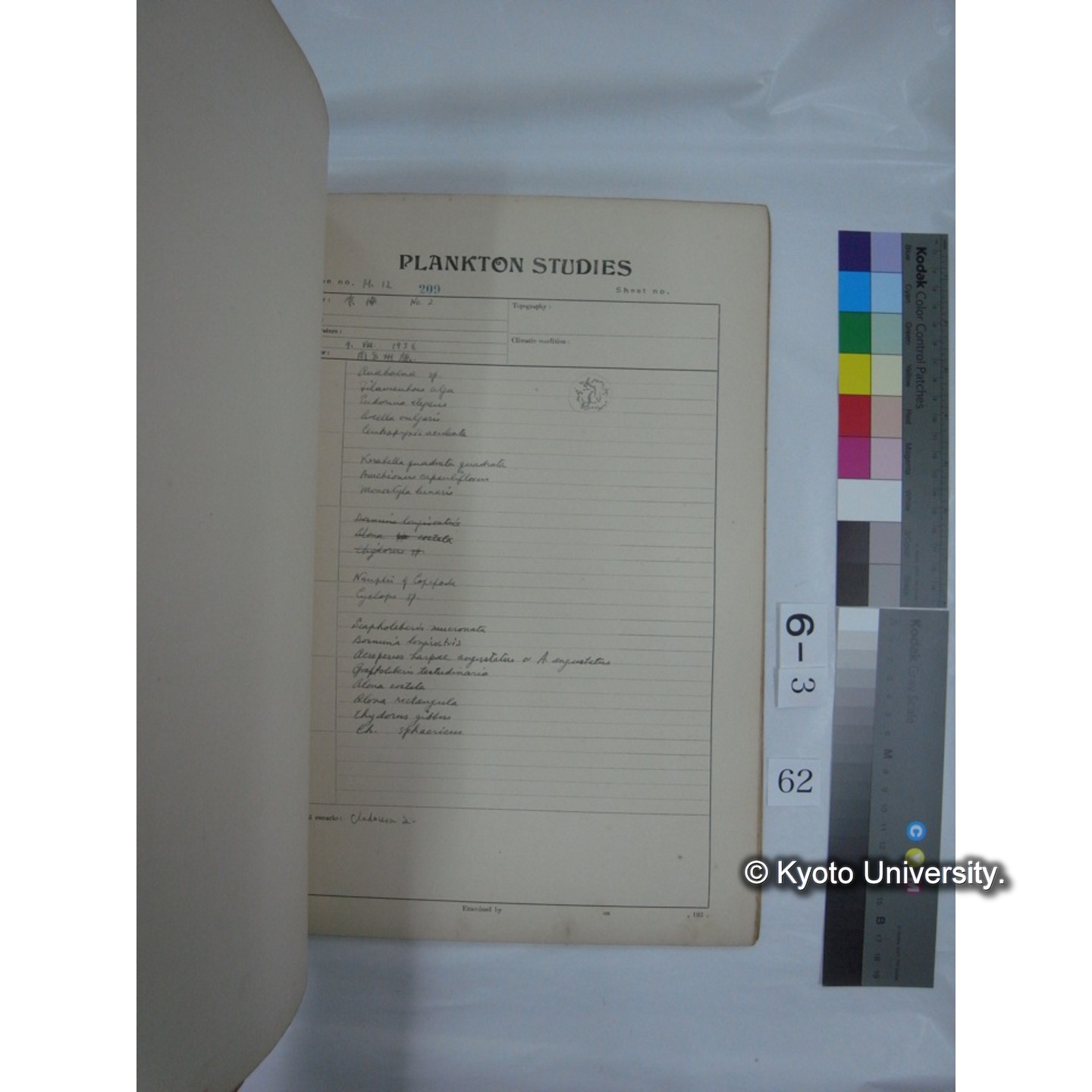 プランクトン標本調査カード (昭和10年,満州調査時採集標本他) (63)