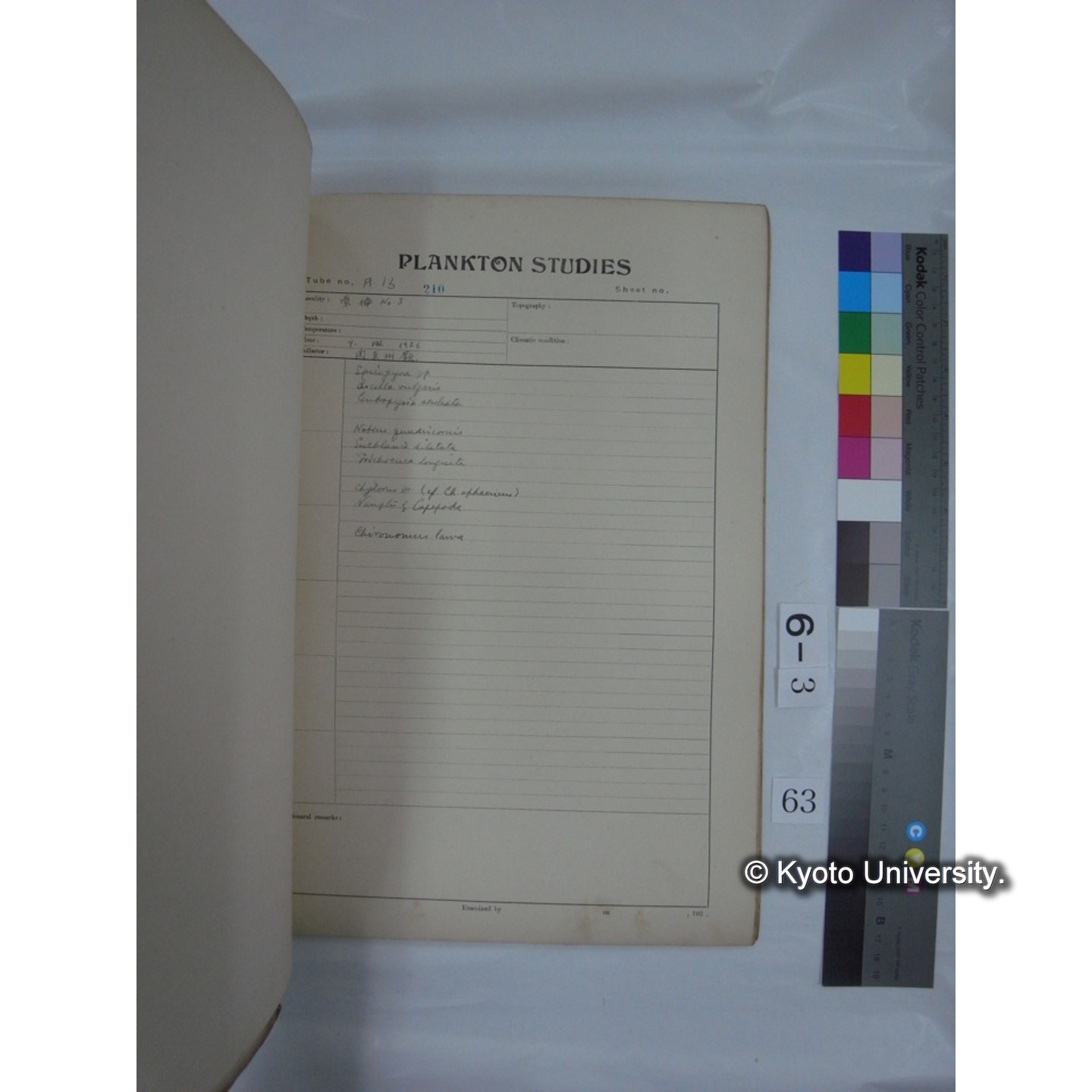 プランクトン標本調査カード (昭和10年,満州調査時採集標本他) (64)