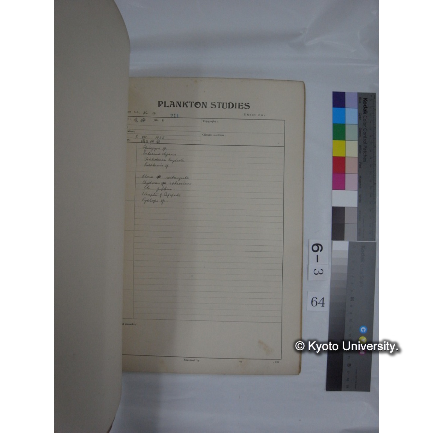 プランクトン標本調査カード (昭和10年,満州調査時採集標本他) (65)