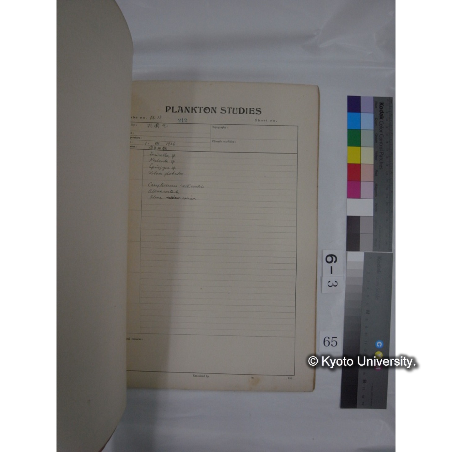 プランクトン標本調査カード (昭和10年,満州調査時採集標本他) (66)
