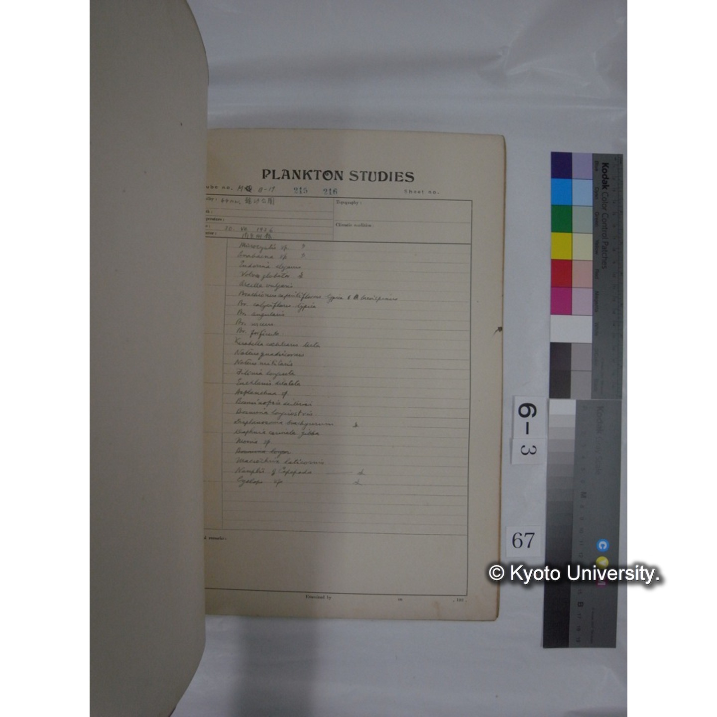 プランクトン標本調査カード (昭和10年,満州調査時採集標本他) (68)