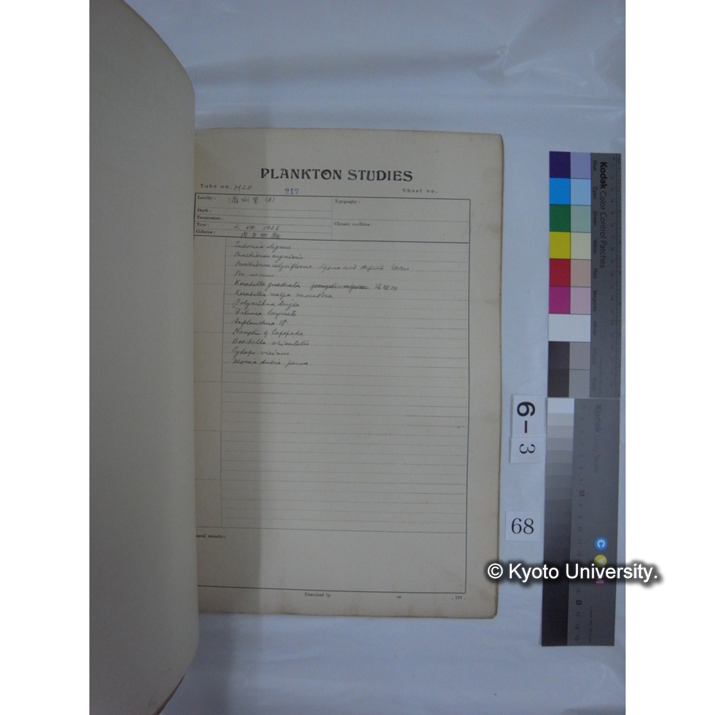 プランクトン標本調査カード (昭和10年,満州調査時採集標本他) (69)
