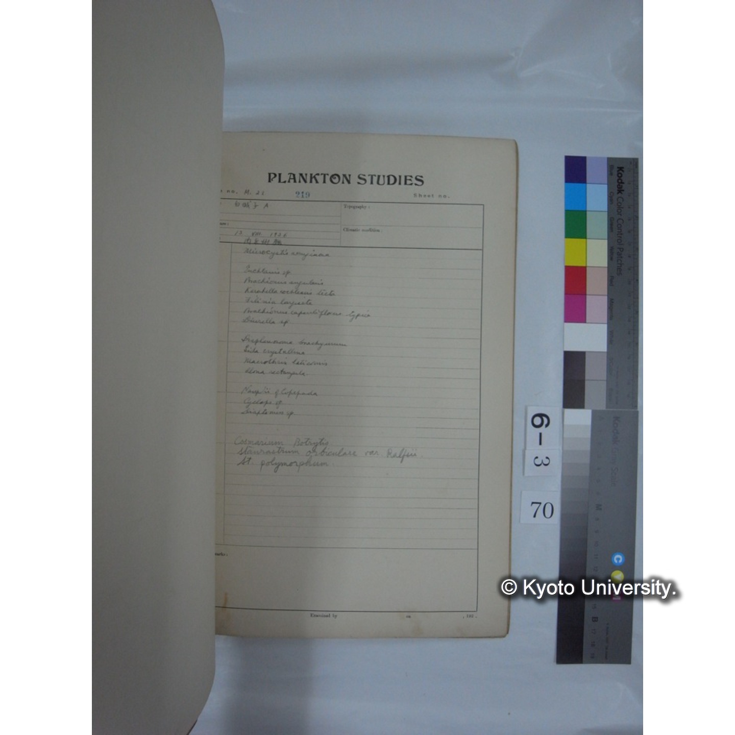 プランクトン標本調査カード (昭和10年,満州調査時採集標本他) (71)