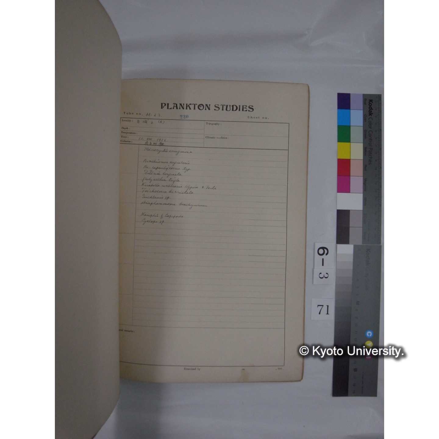 プランクトン標本調査カード (昭和10年,満州調査時採集標本他) (72)