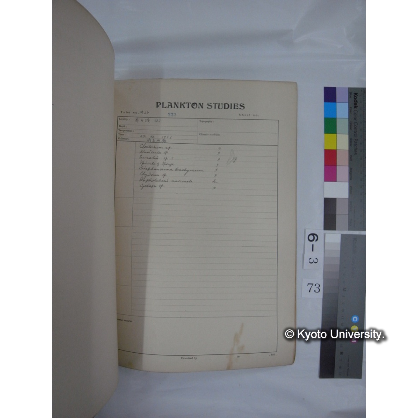 プランクトン標本調査カード (昭和10年,満州調査時採集標本他) (74)