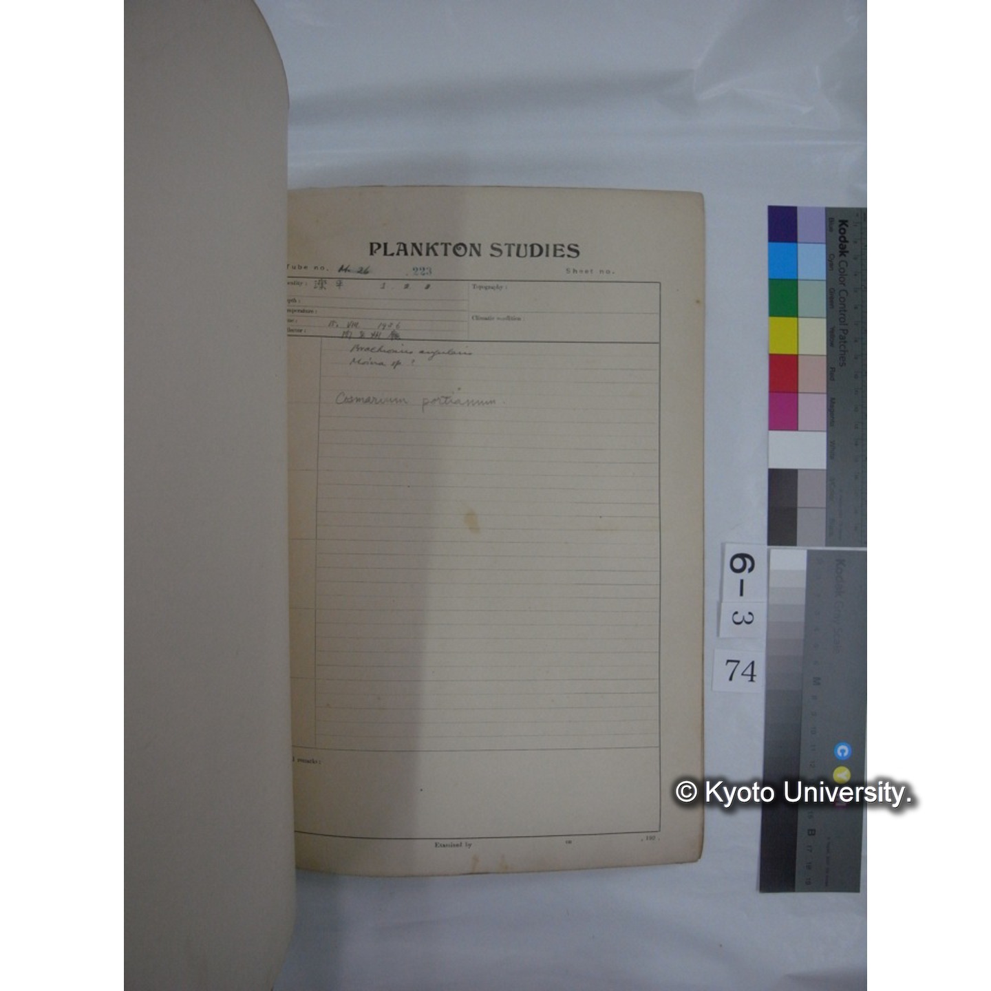 プランクトン標本調査カード (昭和10年,満州調査時採集標本他) (75)