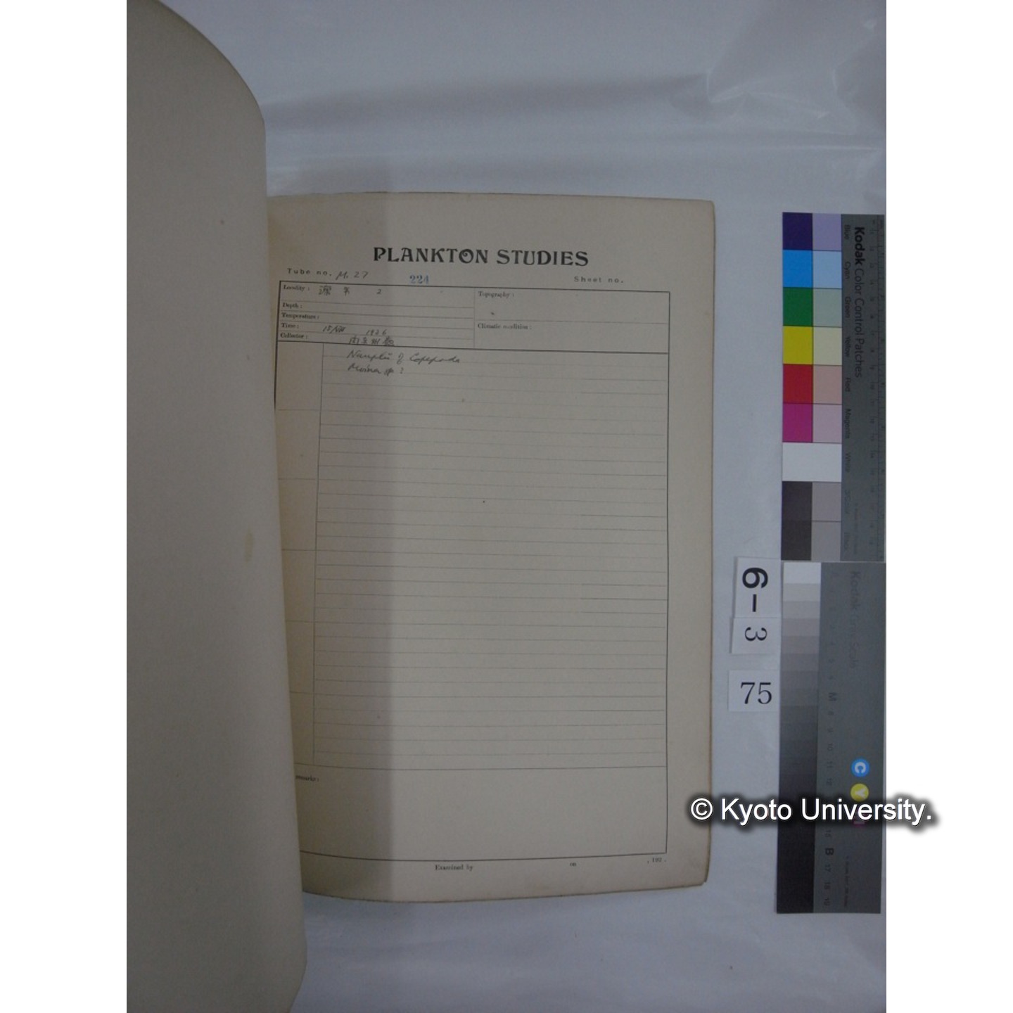 プランクトン標本調査カード (昭和10年,満州調査時採集標本他) (76)