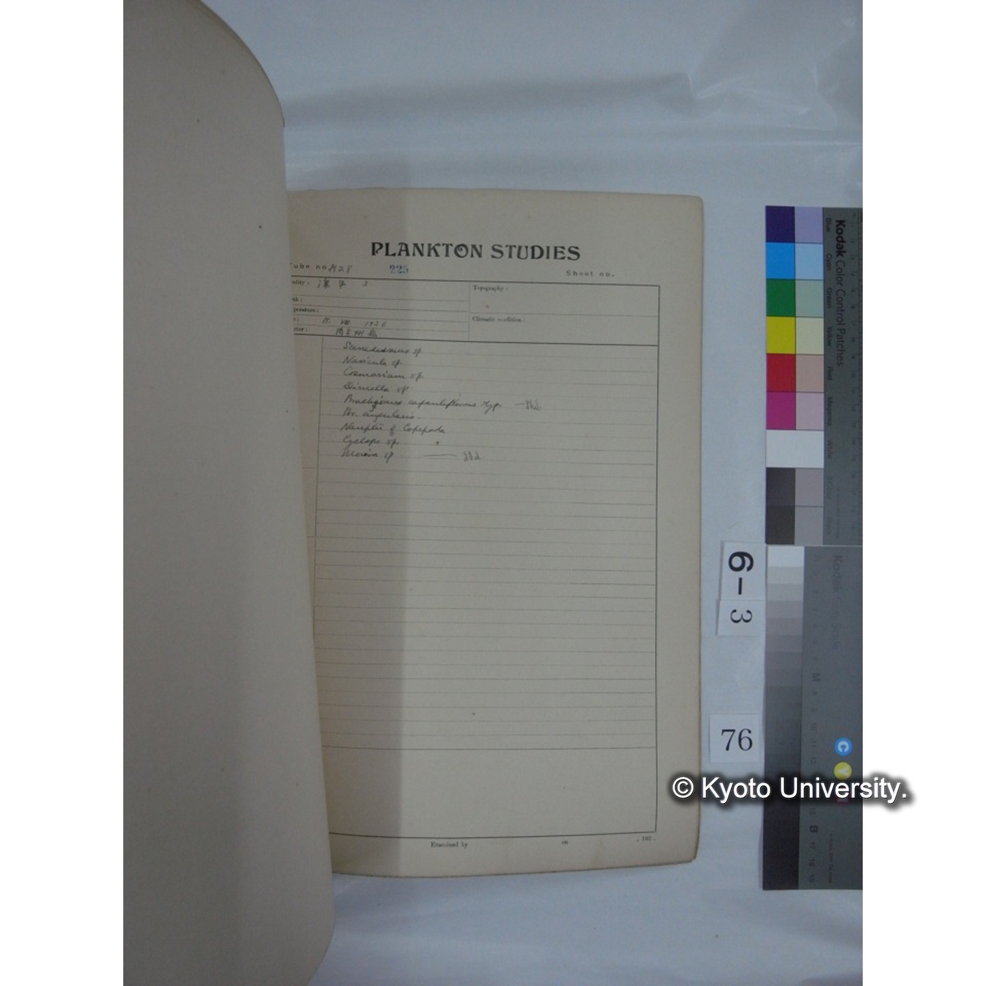 プランクトン標本調査カード (昭和10年,満州調査時採集標本他) (77)