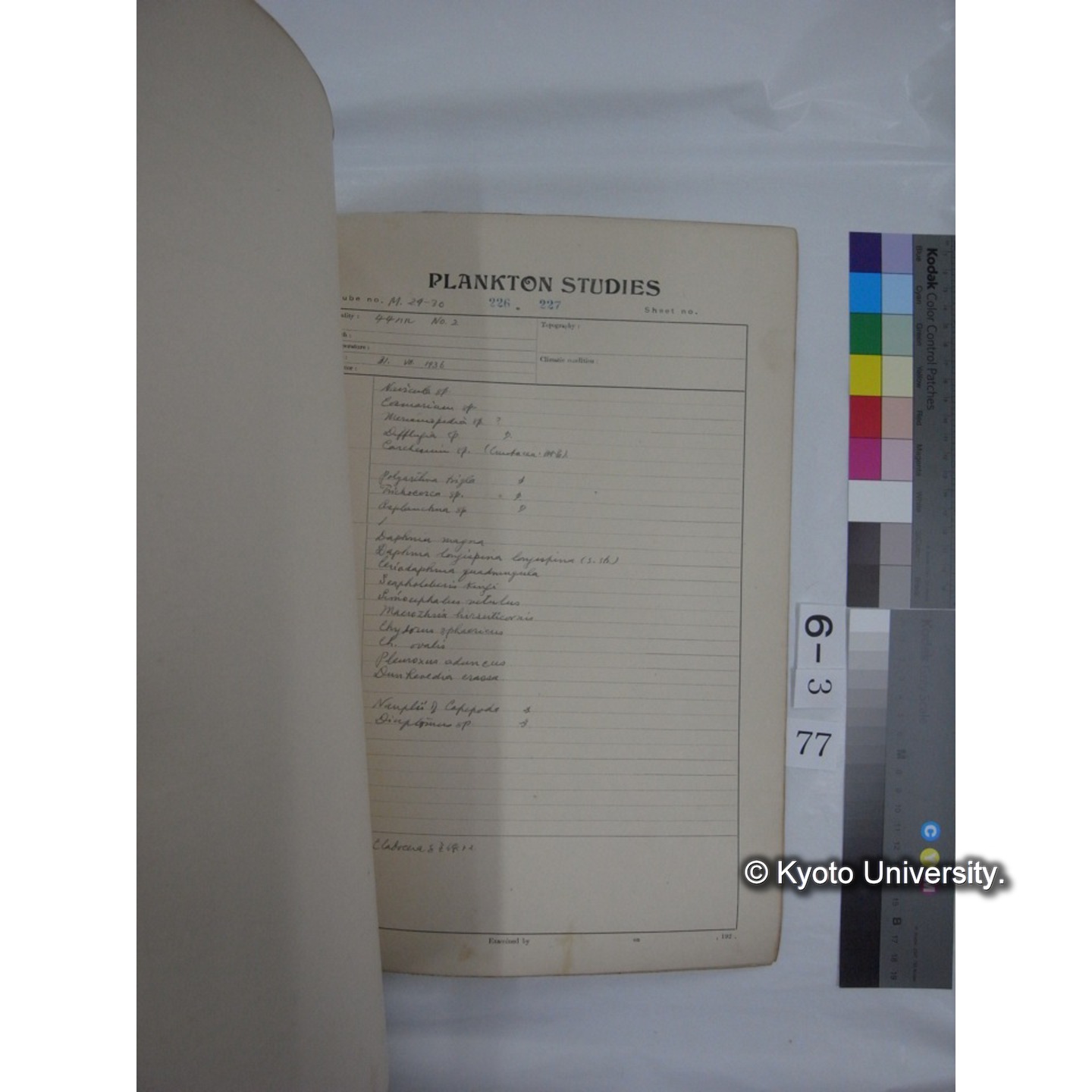 プランクトン標本調査カード (昭和10年,満州調査時採集標本他) (78)