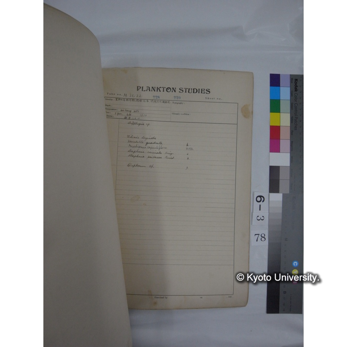 プランクトン標本調査カード (昭和10年,満州調査時採集標本他) (79)