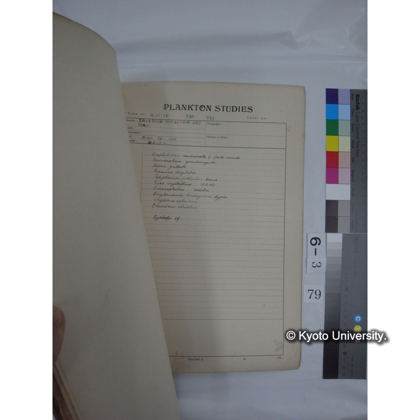 プランクトン標本調査カード (昭和10年,満州調査時採集標本他) (80)