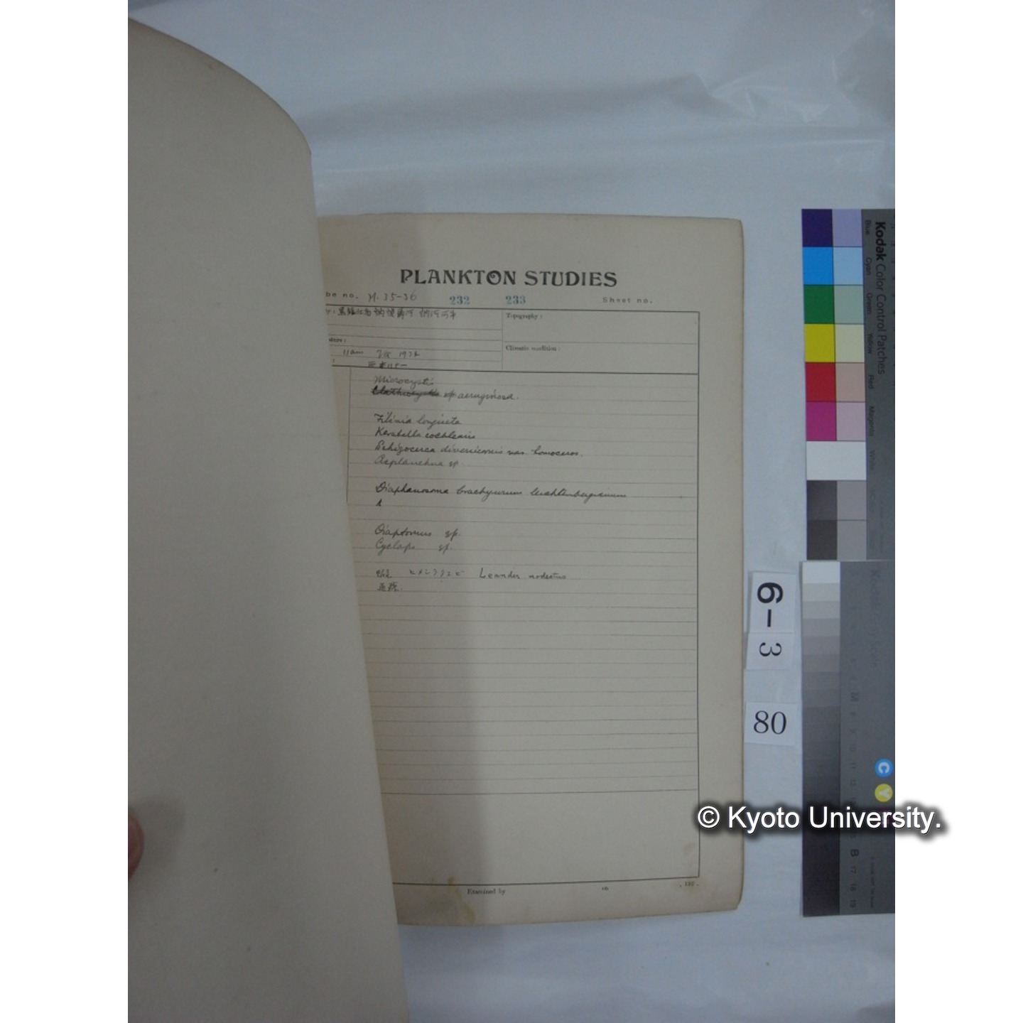 プランクトン標本調査カード (昭和10年,満州調査時採集標本他) (81)