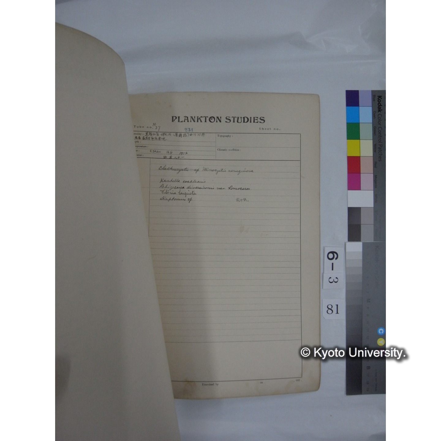 プランクトン標本調査カード (昭和10年,満州調査時採集標本他) (82)
