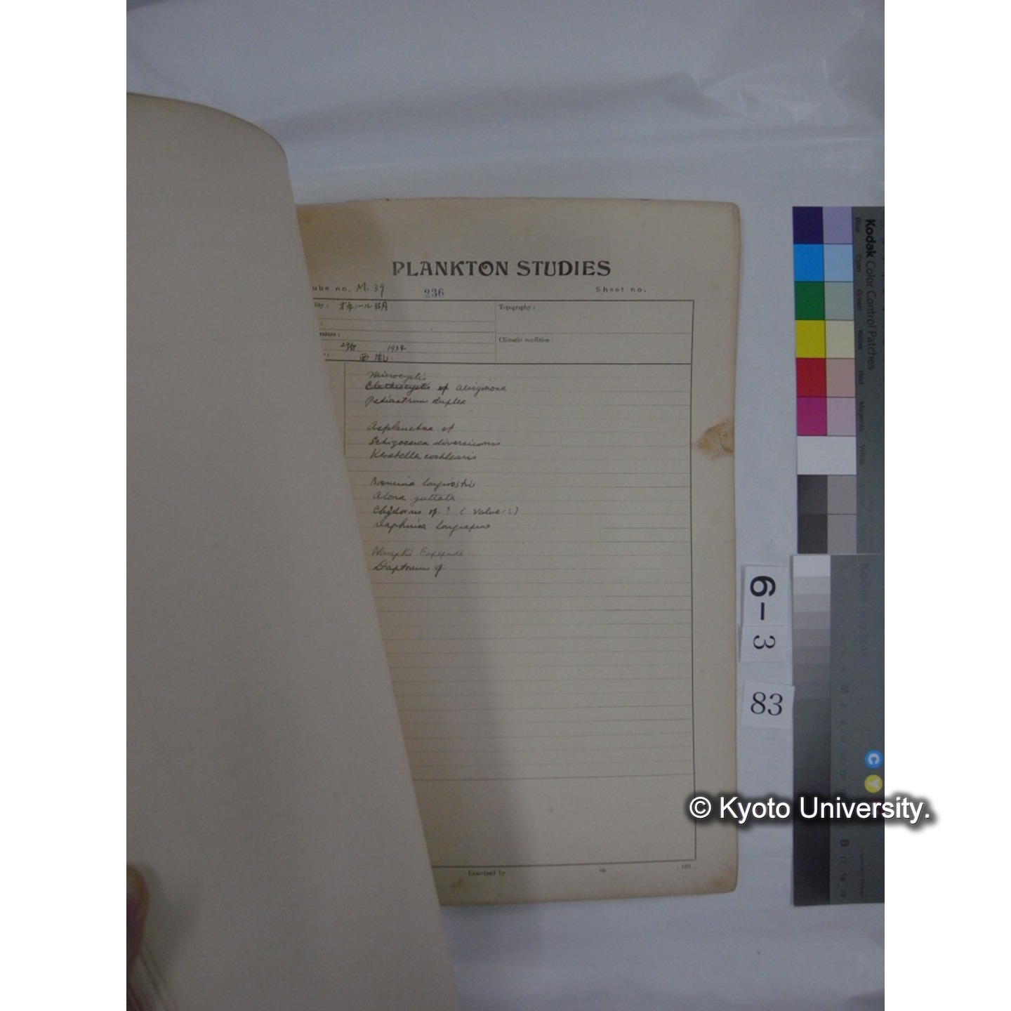 プランクトン標本調査カード (昭和10年,満州調査時採集標本他) (84)