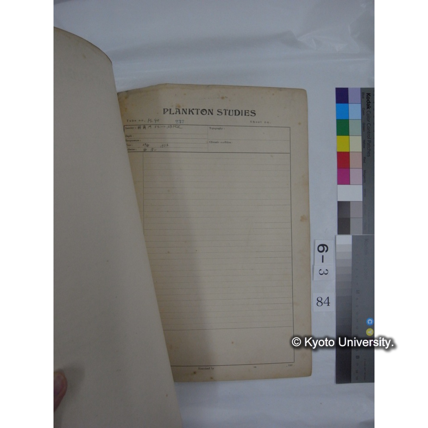 プランクトン標本調査カード (昭和10年,満州調査時採集標本他) (85)
