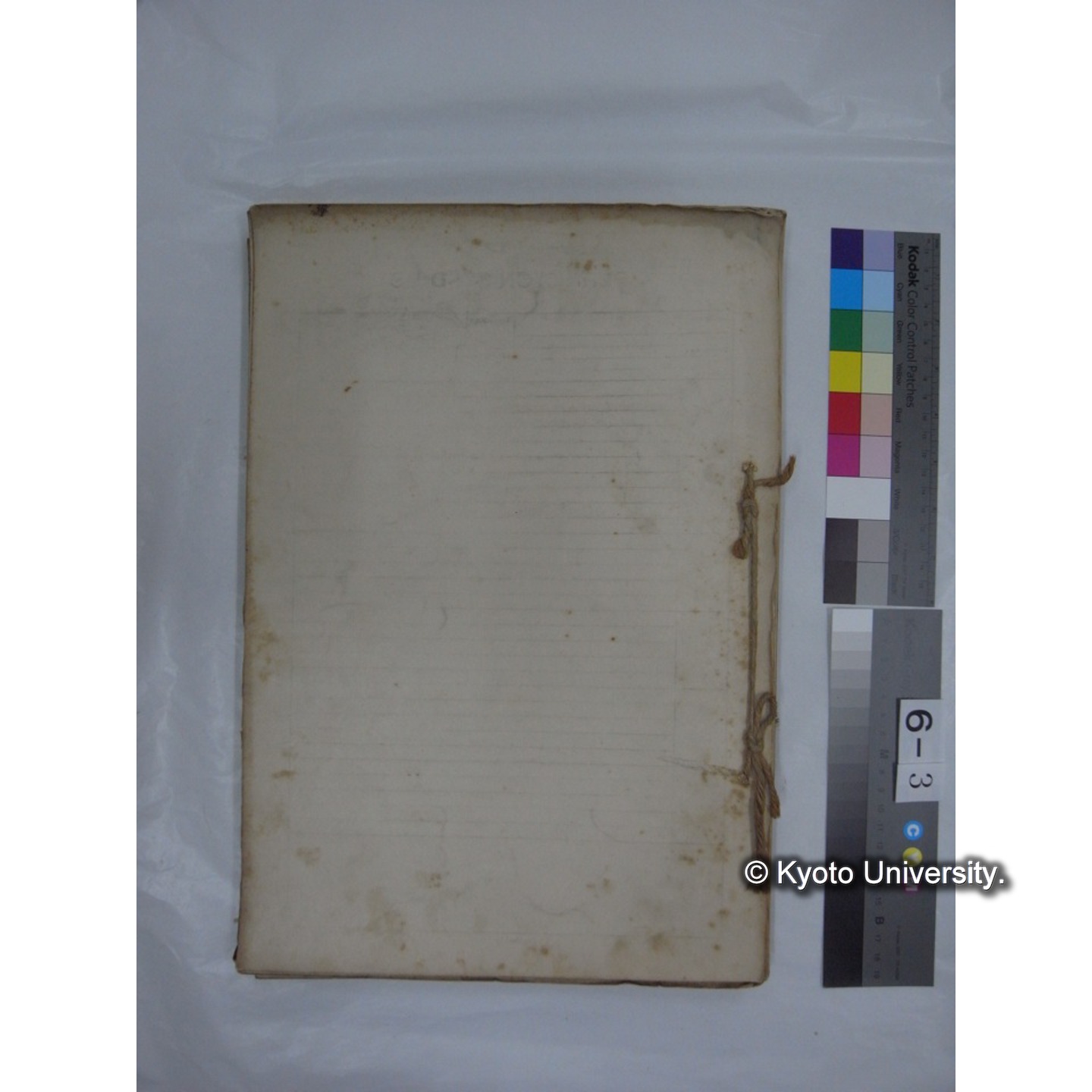 プランクトン標本調査カード (昭和10年,満州調査時採集標本他) (86)