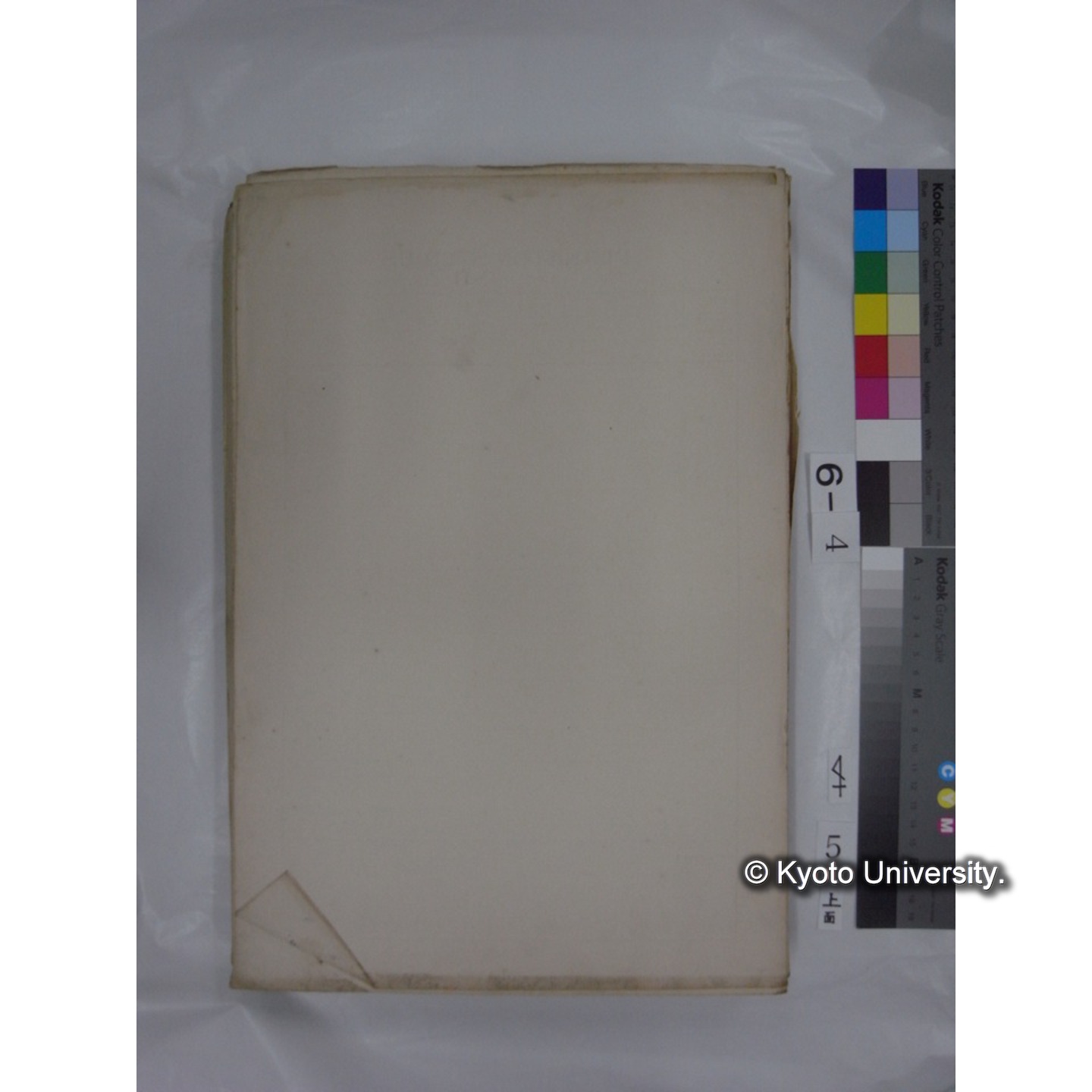 プランクトン標本調査カード (国内各地,採取データのみ) (6)