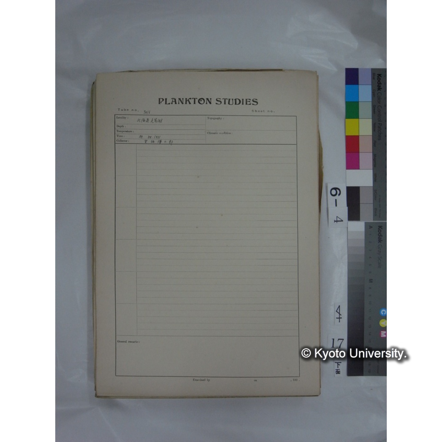 プランクトン標本調査カード (国内各地,採取データのみ) (19)