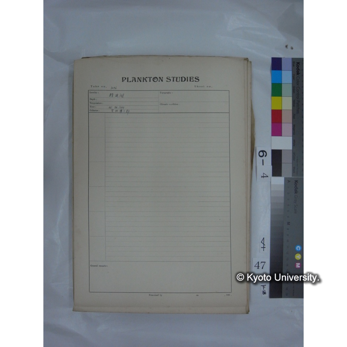プランクトン標本調査カード (国内各地,採取データのみ) (49)