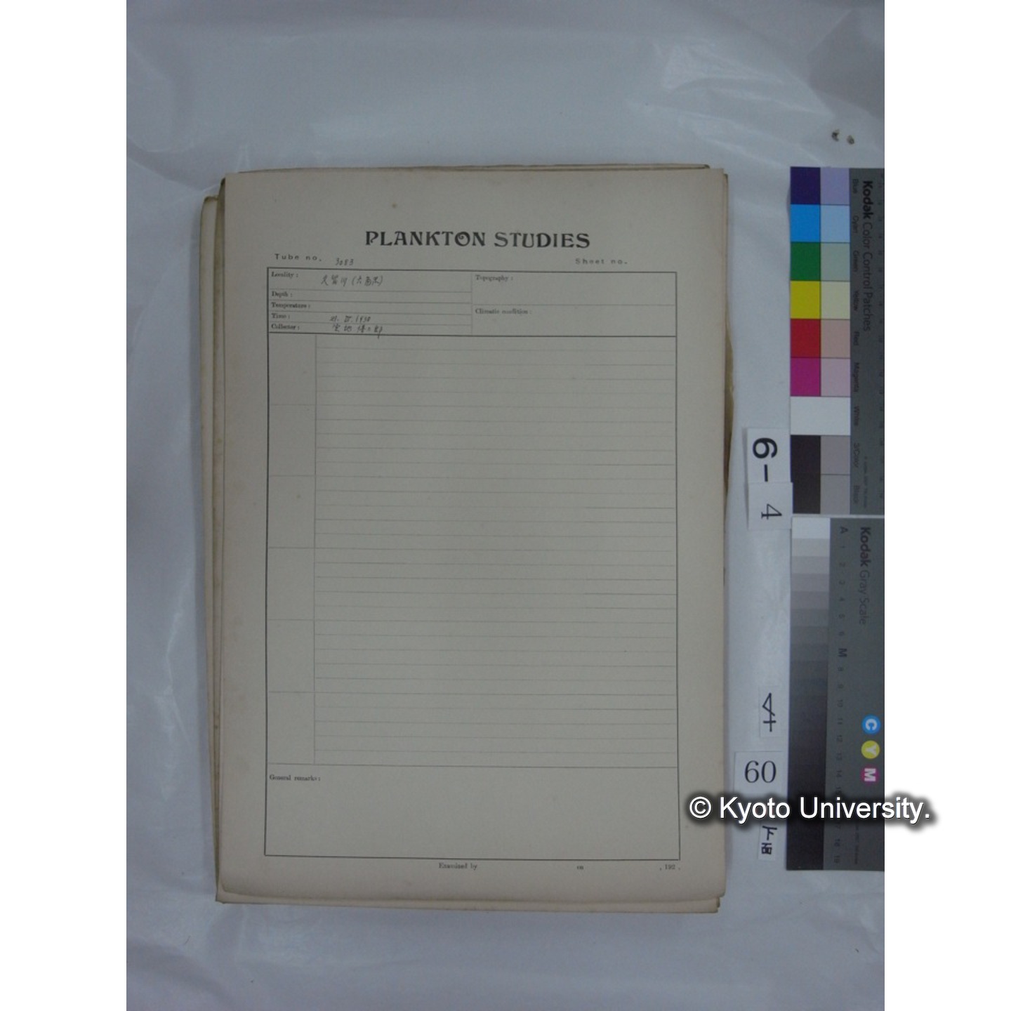 プランクトン標本調査カード (国内各地,採取データのみ) (62)