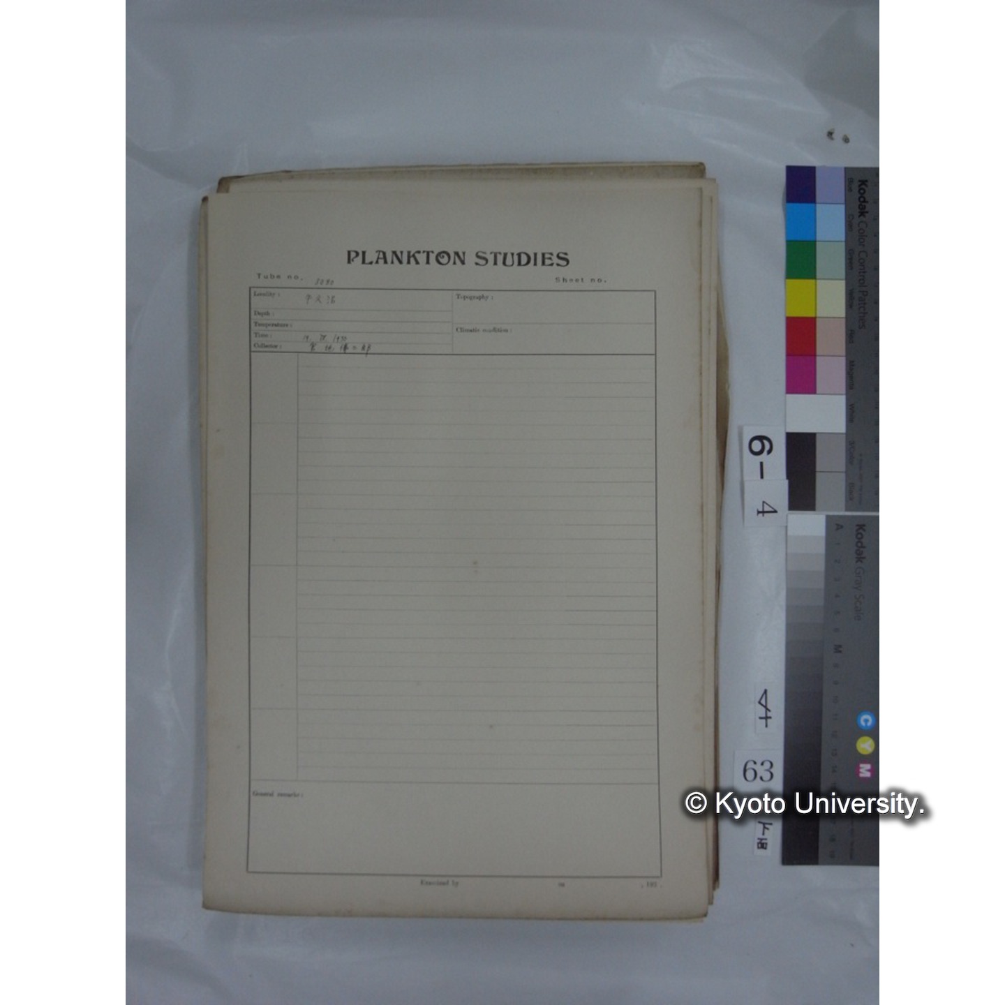 プランクトン標本調査カード (国内各地,採取データのみ) (65)