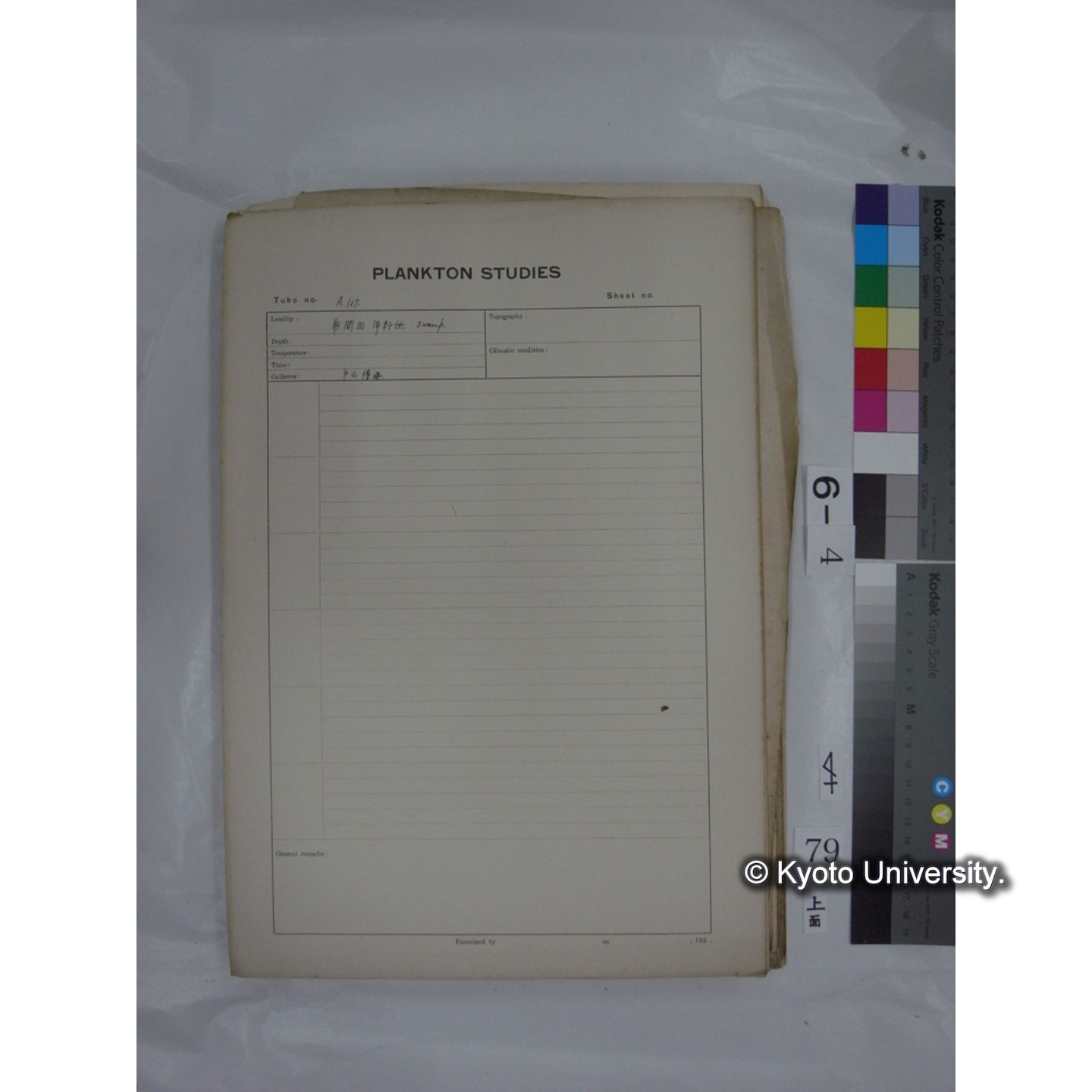 プランクトン標本調査カード (国内各地,採取データのみ) (81)