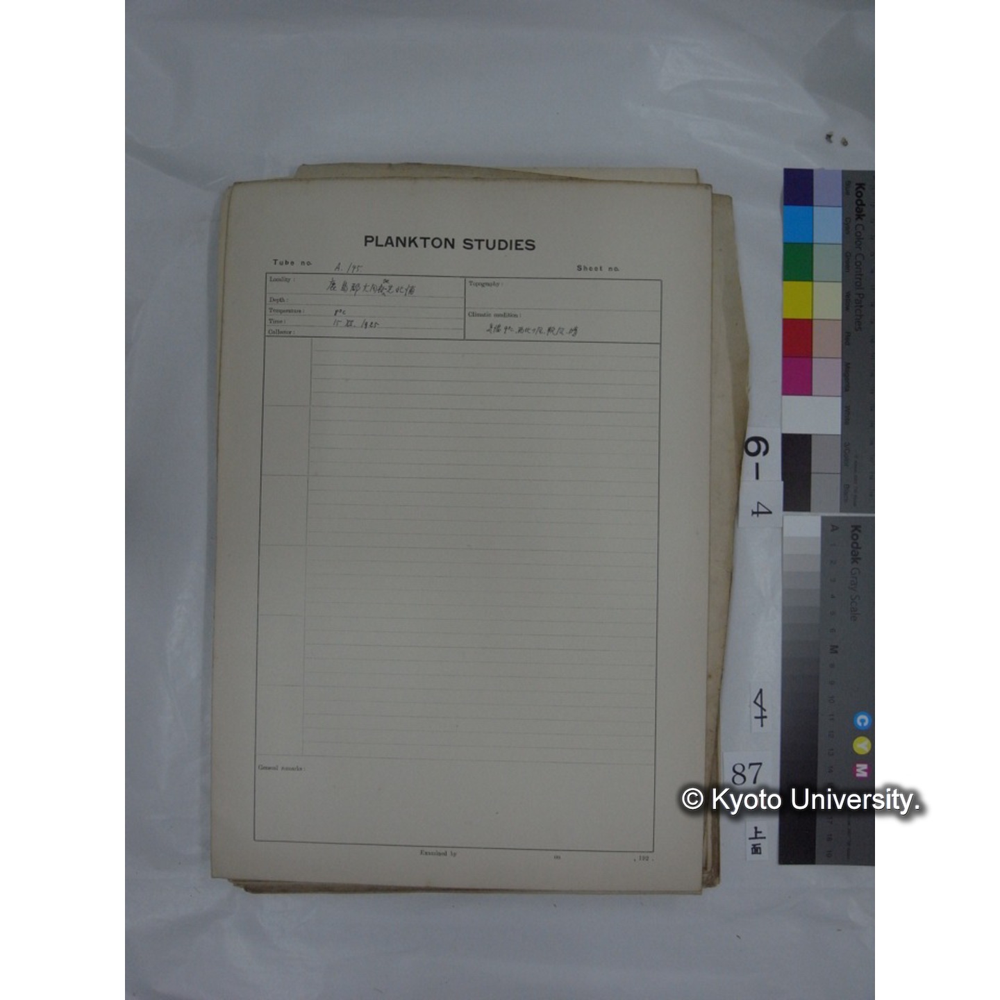 プランクトン標本調査カード (国内各地,採取データのみ) (89)