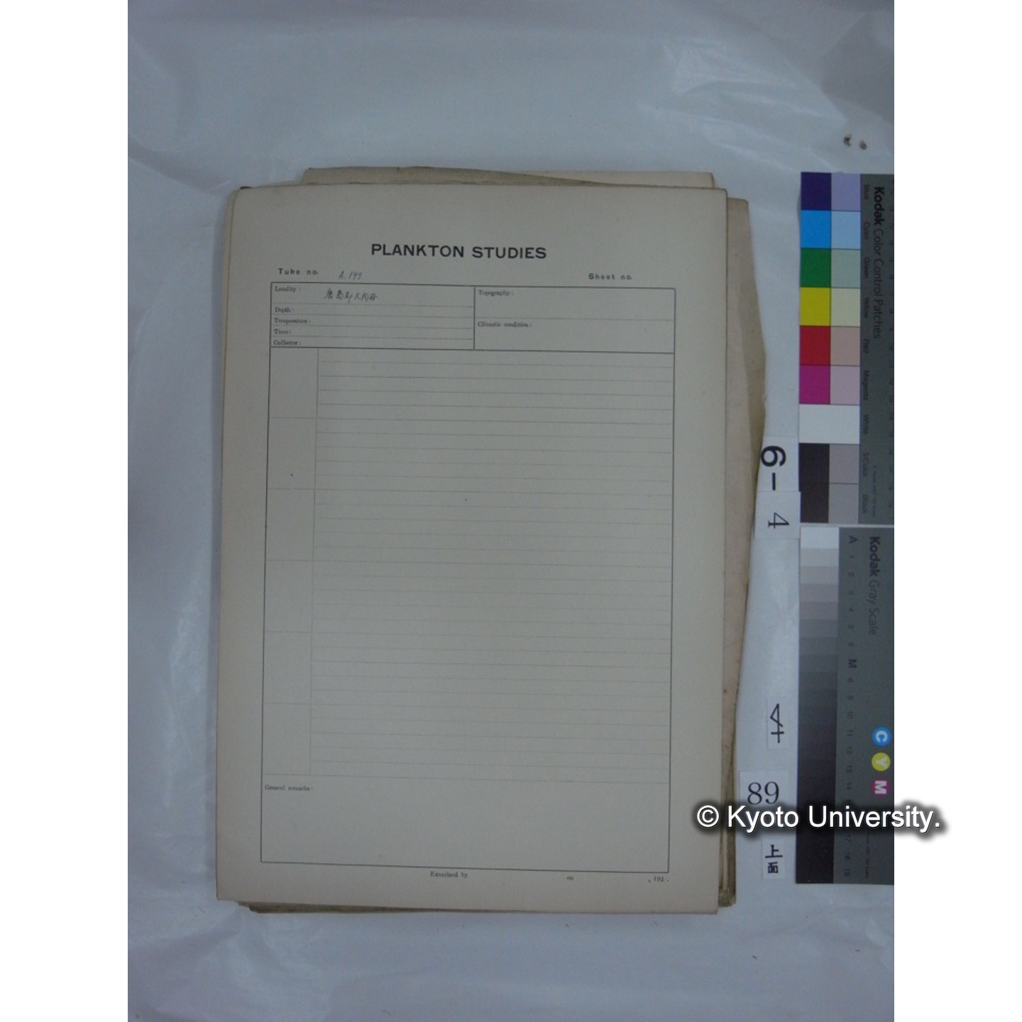 プランクトン標本調査カード (国内各地,採取データのみ) (91)