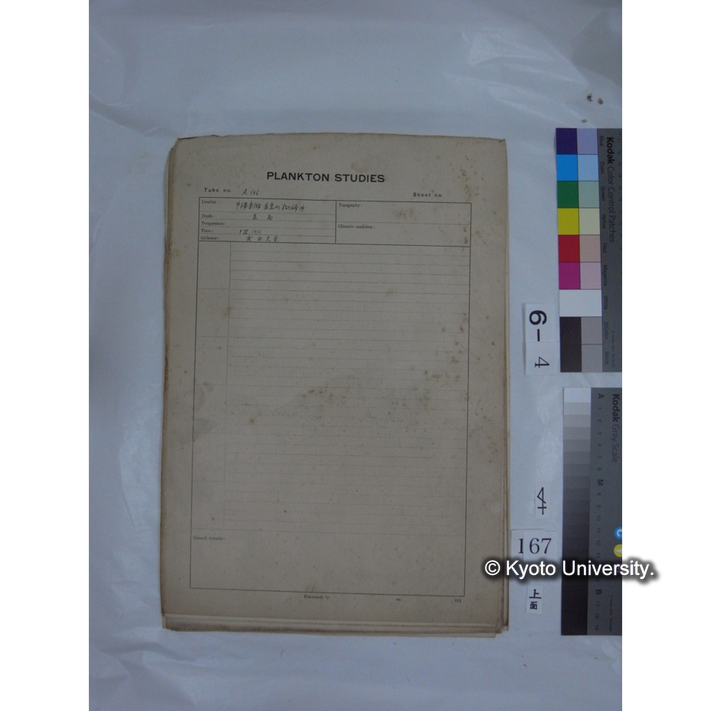 プランクトン標本調査カード (国内各地,採取データのみ) (169)