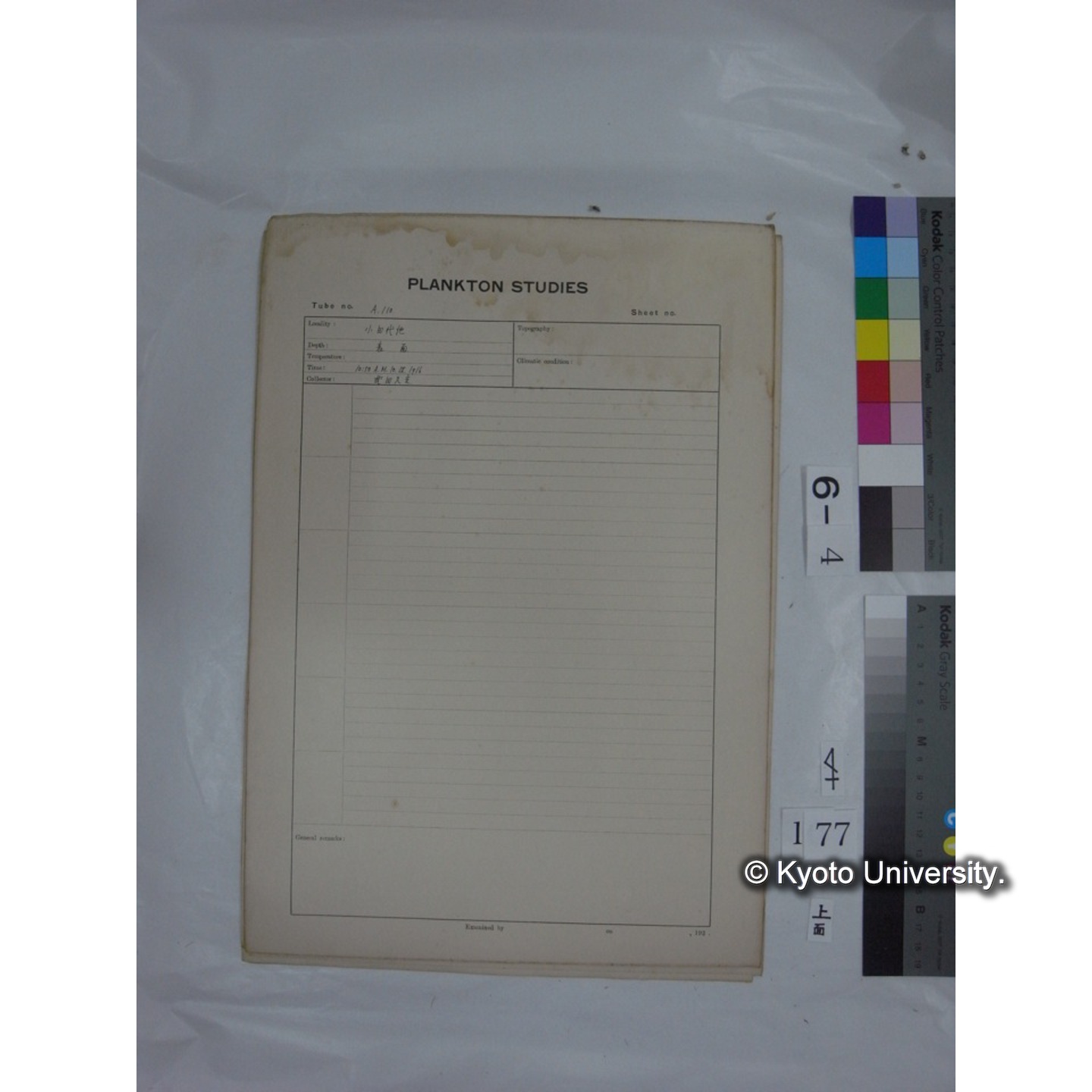 プランクトン標本調査カード (国内各地,採取データのみ) (179)
