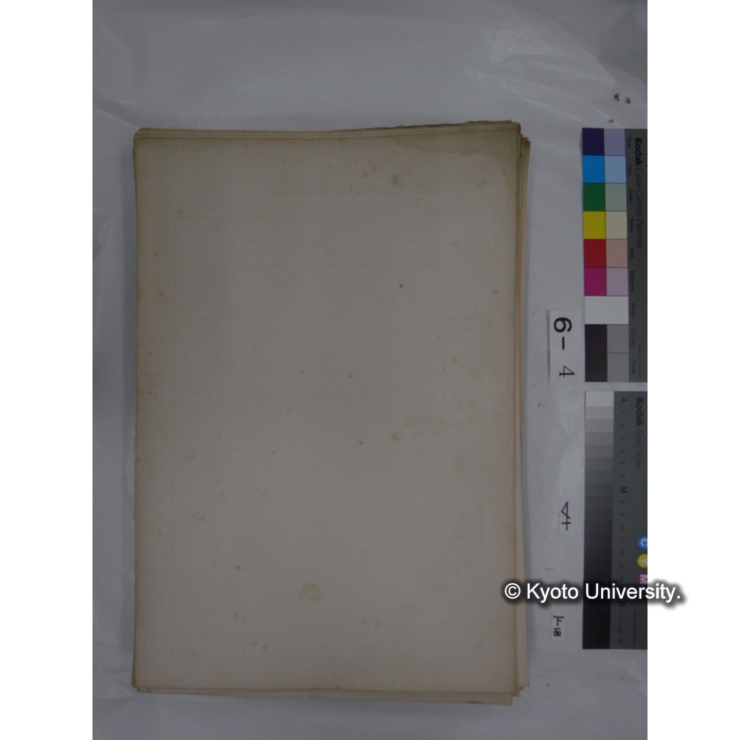 プランクトン標本調査カード (国内各地,採取データのみ) (191)