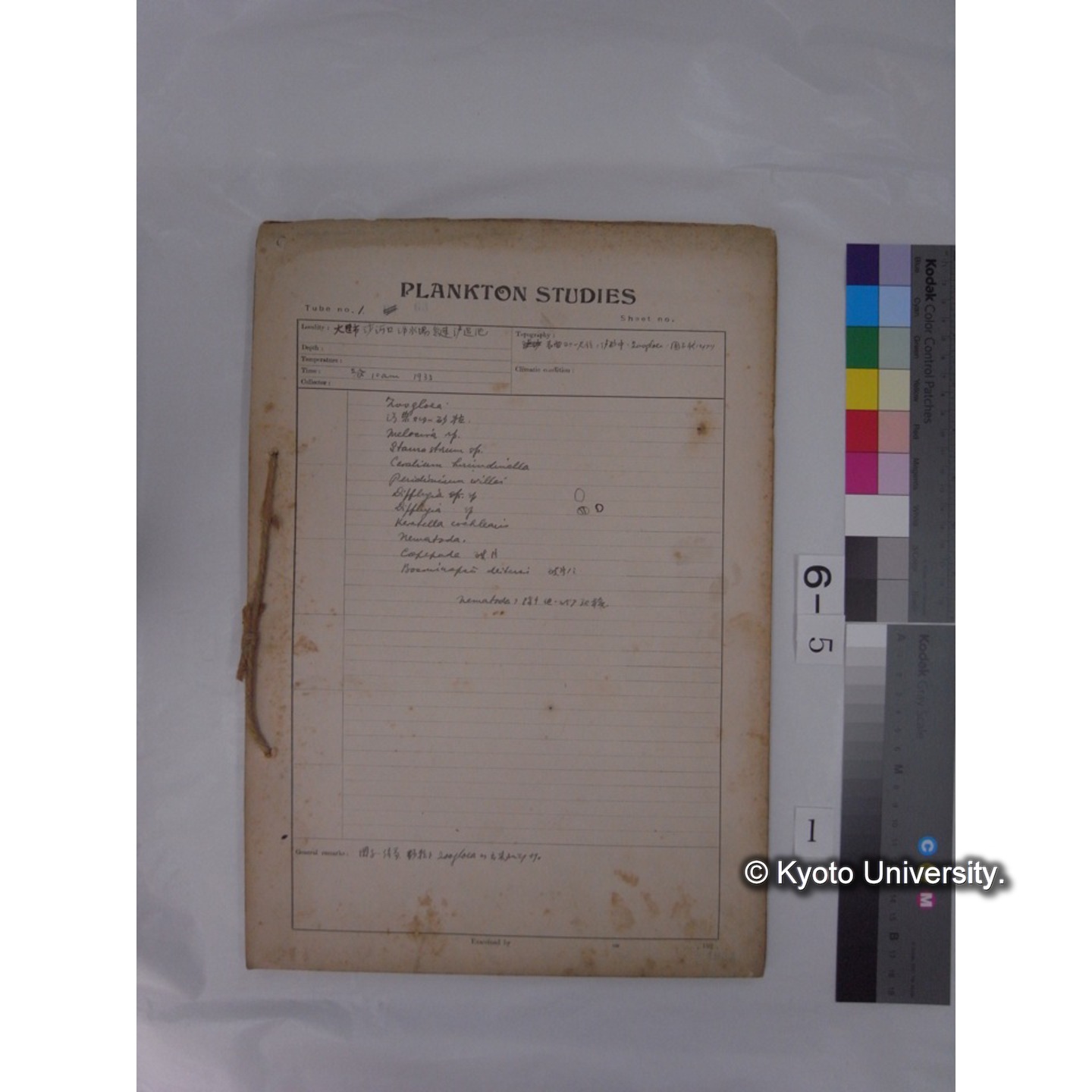 プランクトン標本調査カード (昭和8年,満州調査時採集標本) (1)