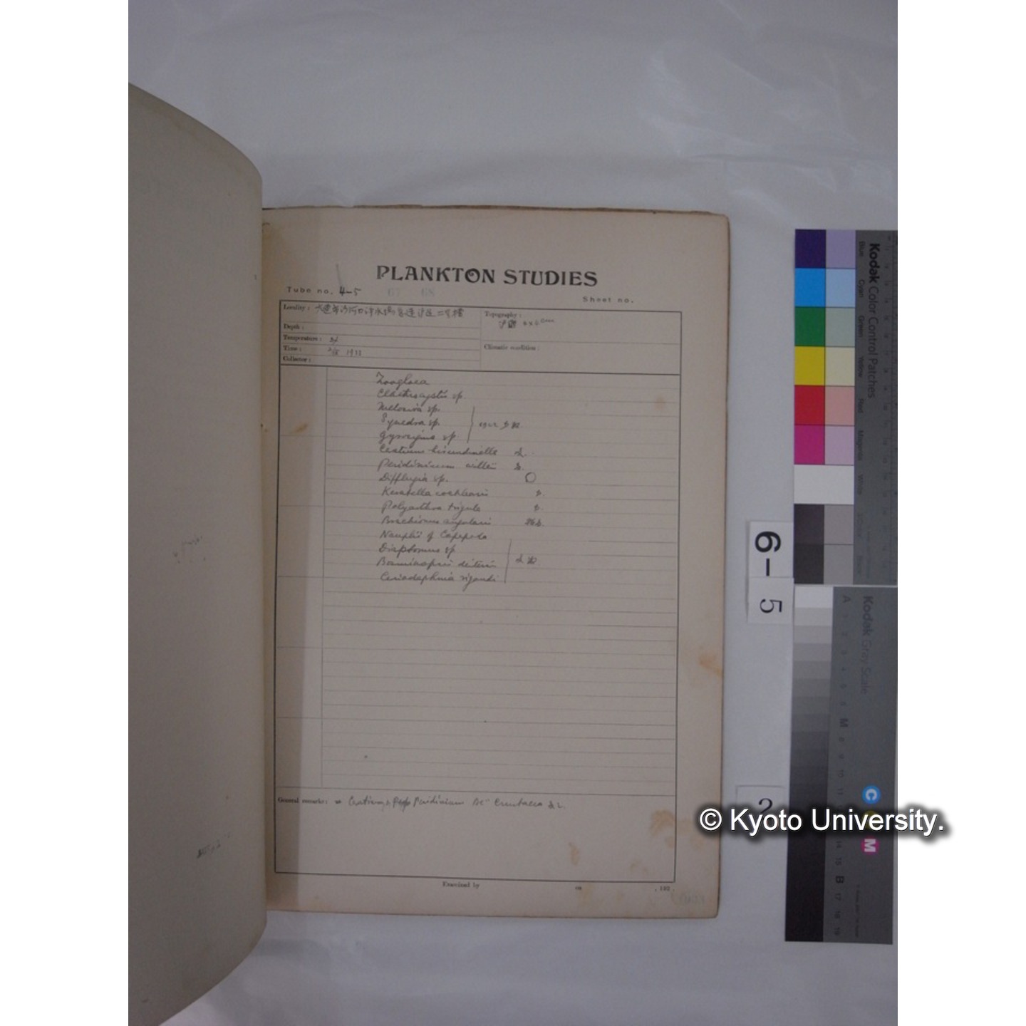 プランクトン標本調査カード (昭和8年,満州調査時採集標本) (2)