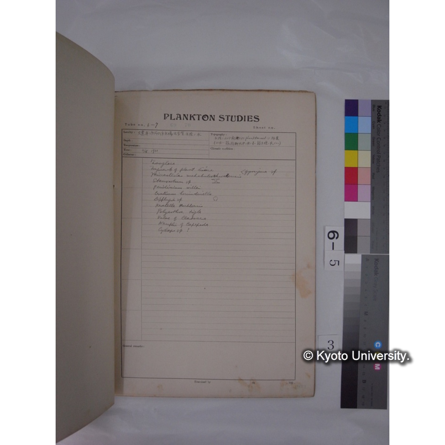 プランクトン標本調査カード (昭和8年,満州調査時採集標本) (3)