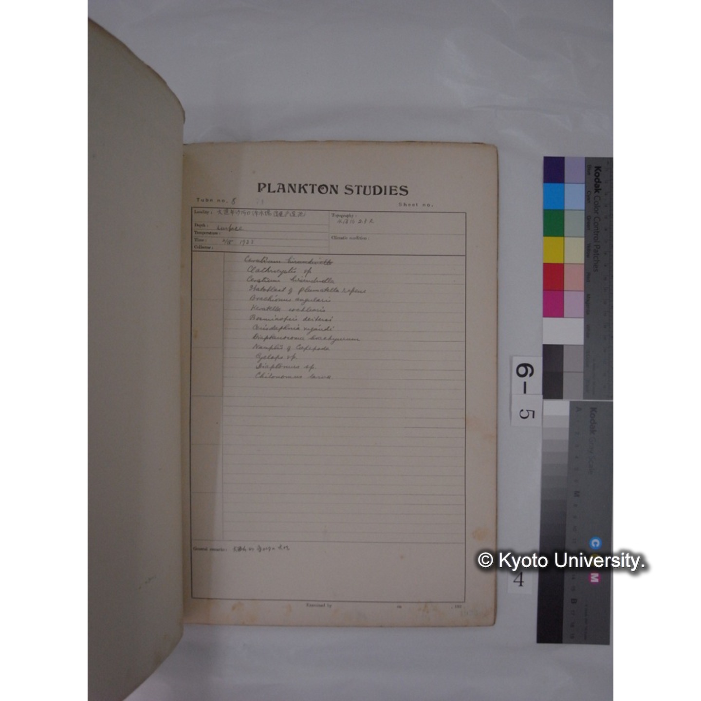 プランクトン標本調査カード (昭和8年,満州調査時採集標本) (4)