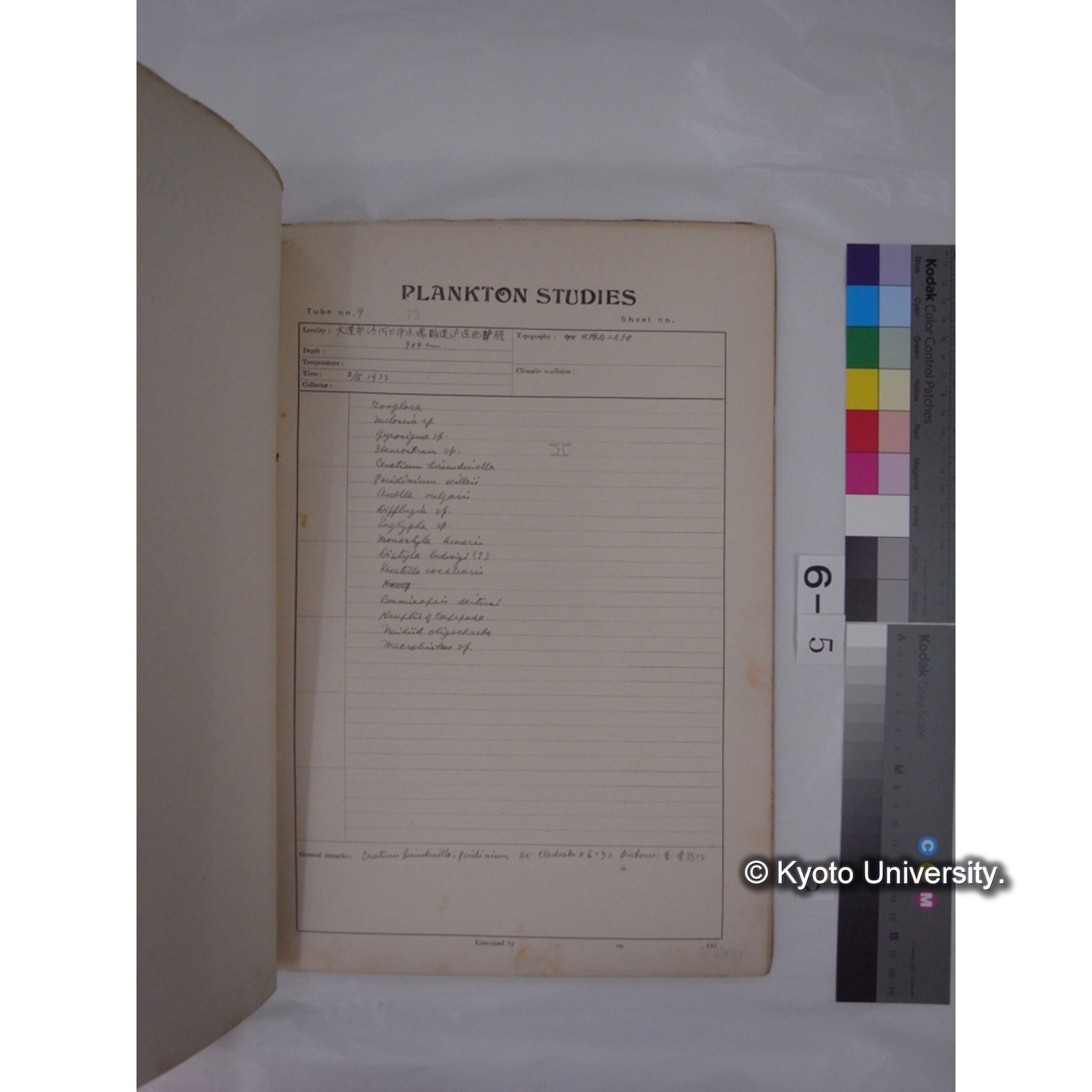 プランクトン標本調査カード (昭和8年,満州調査時採集標本) (5)