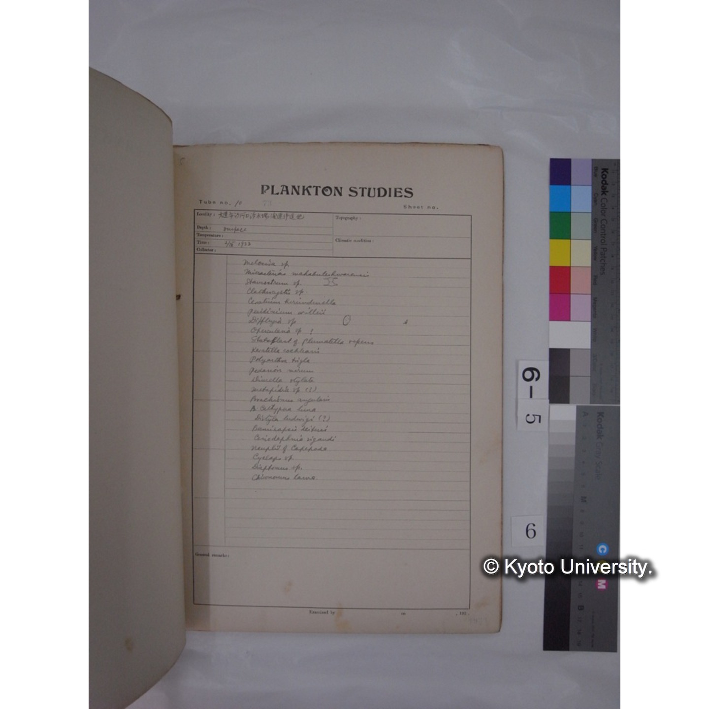 プランクトン標本調査カード (昭和8年,満州調査時採集標本) (6)
