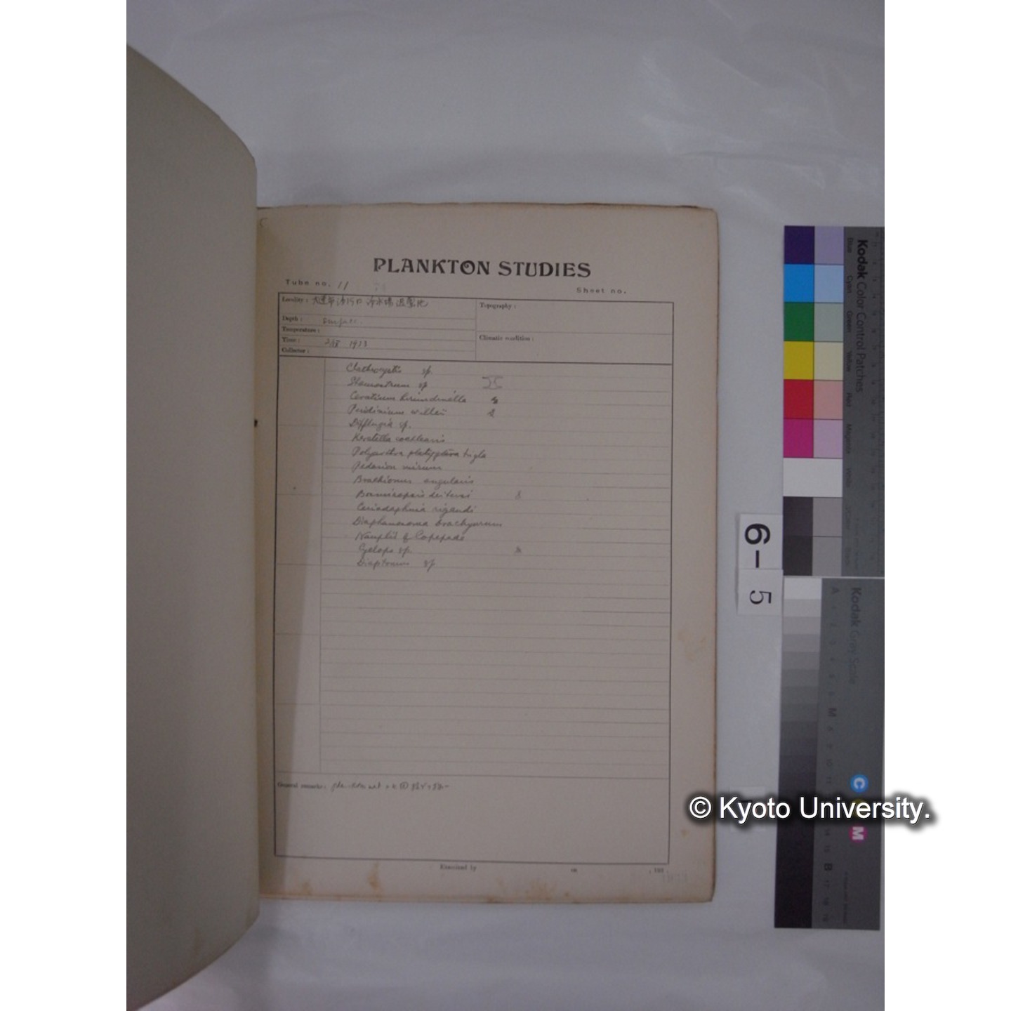 プランクトン標本調査カード (昭和8年,満州調査時採集標本) (7)
