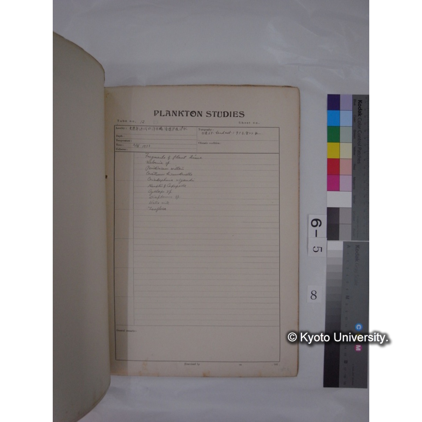 プランクトン標本調査カード (昭和8年,満州調査時採集標本) (8)
