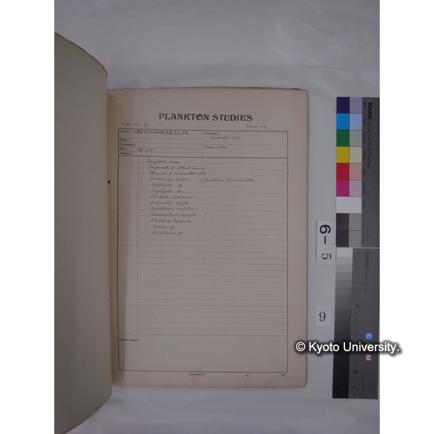 プランクトン標本調査カード (昭和8年,満州調査時採集標本) (9)