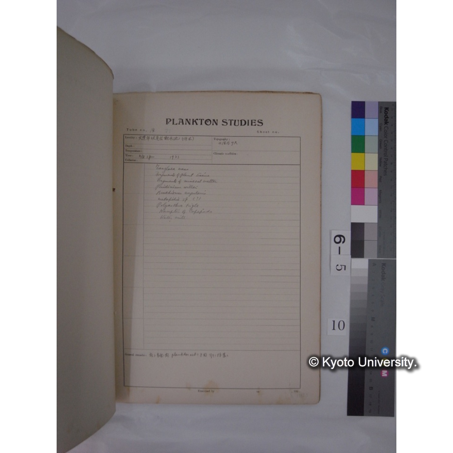 プランクトン標本調査カード (昭和8年,満州調査時採集標本) (10)