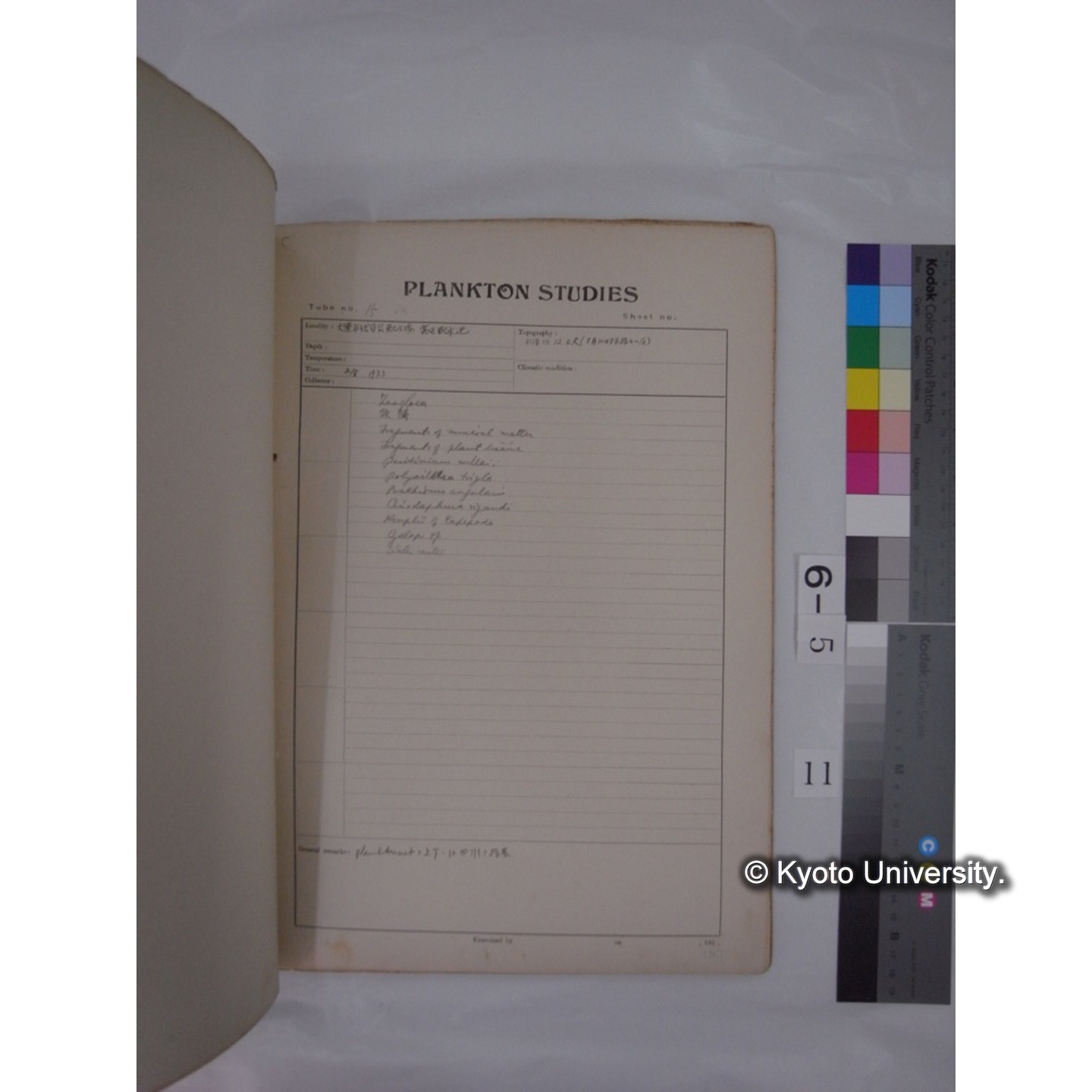 プランクトン標本調査カード (昭和8年,満州調査時採集標本) (11)