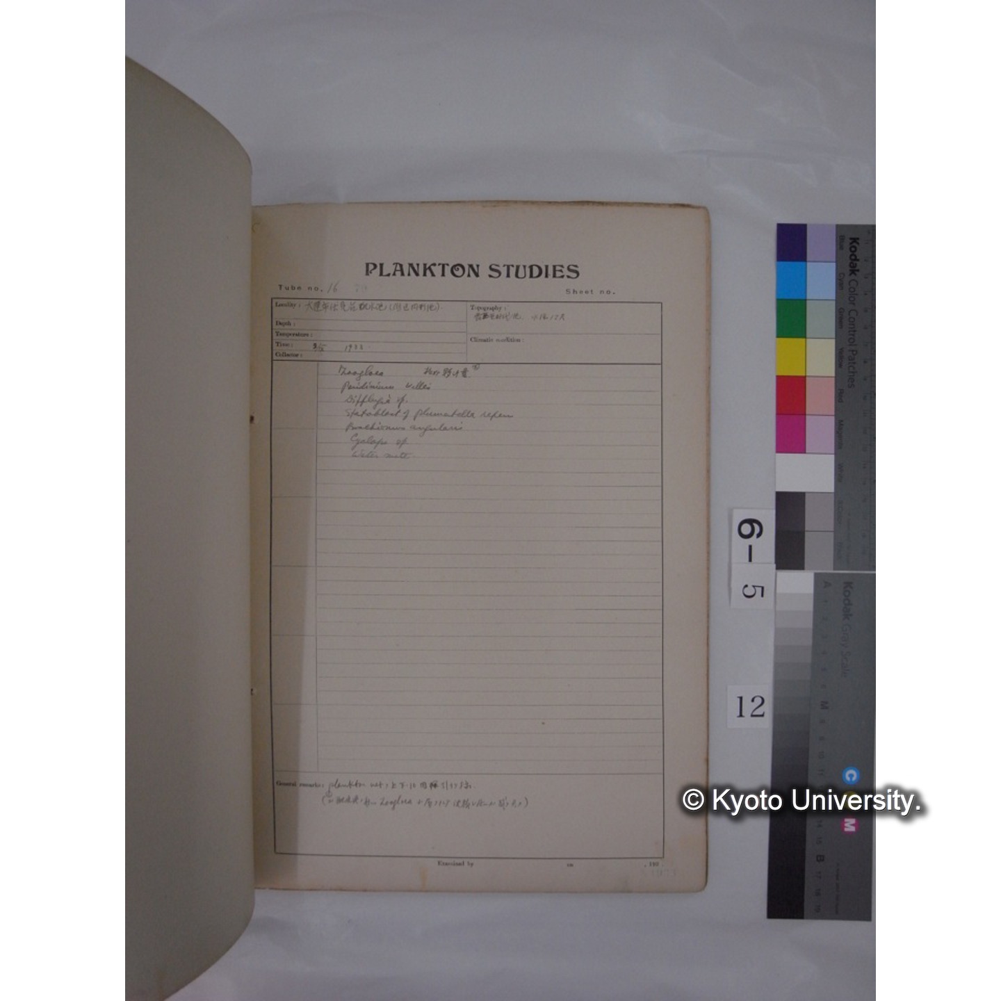 プランクトン標本調査カード (昭和8年,満州調査時採集標本) (12)