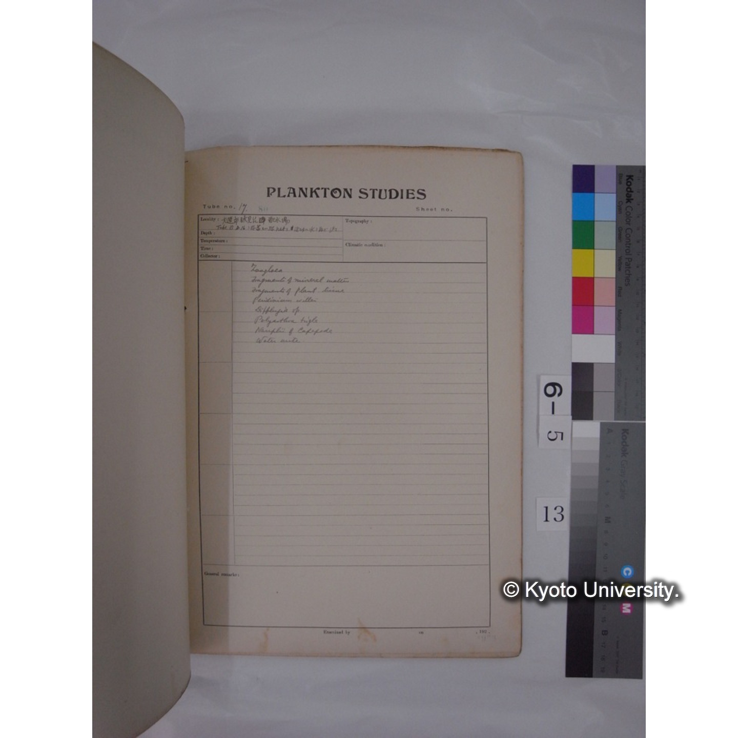 プランクトン標本調査カード (昭和8年,満州調査時採集標本) (13)