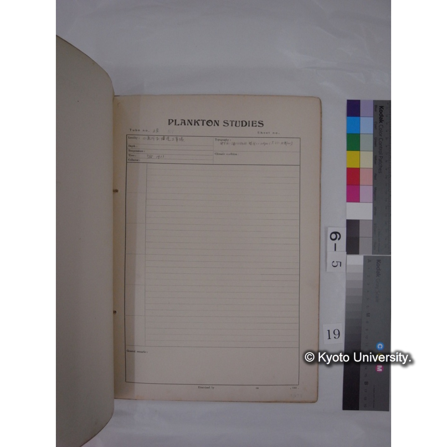 プランクトン標本調査カード (昭和8年,満州調査時採集標本) (19)
